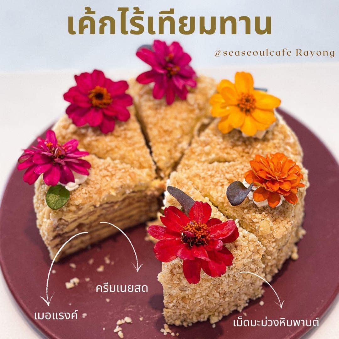 CURVE, STIRR Coffee, Haus Coffee and Space, SeaSeoul cafe, 1degreesnorth, Kongkang Kafe, กาเเฟริมน้ำ บ้านชูใจ, สวนก๋ง, กาแฟบ้านทวด, COFFEE BEACH, Jump at Sea, Whitebeam coffee & eatery