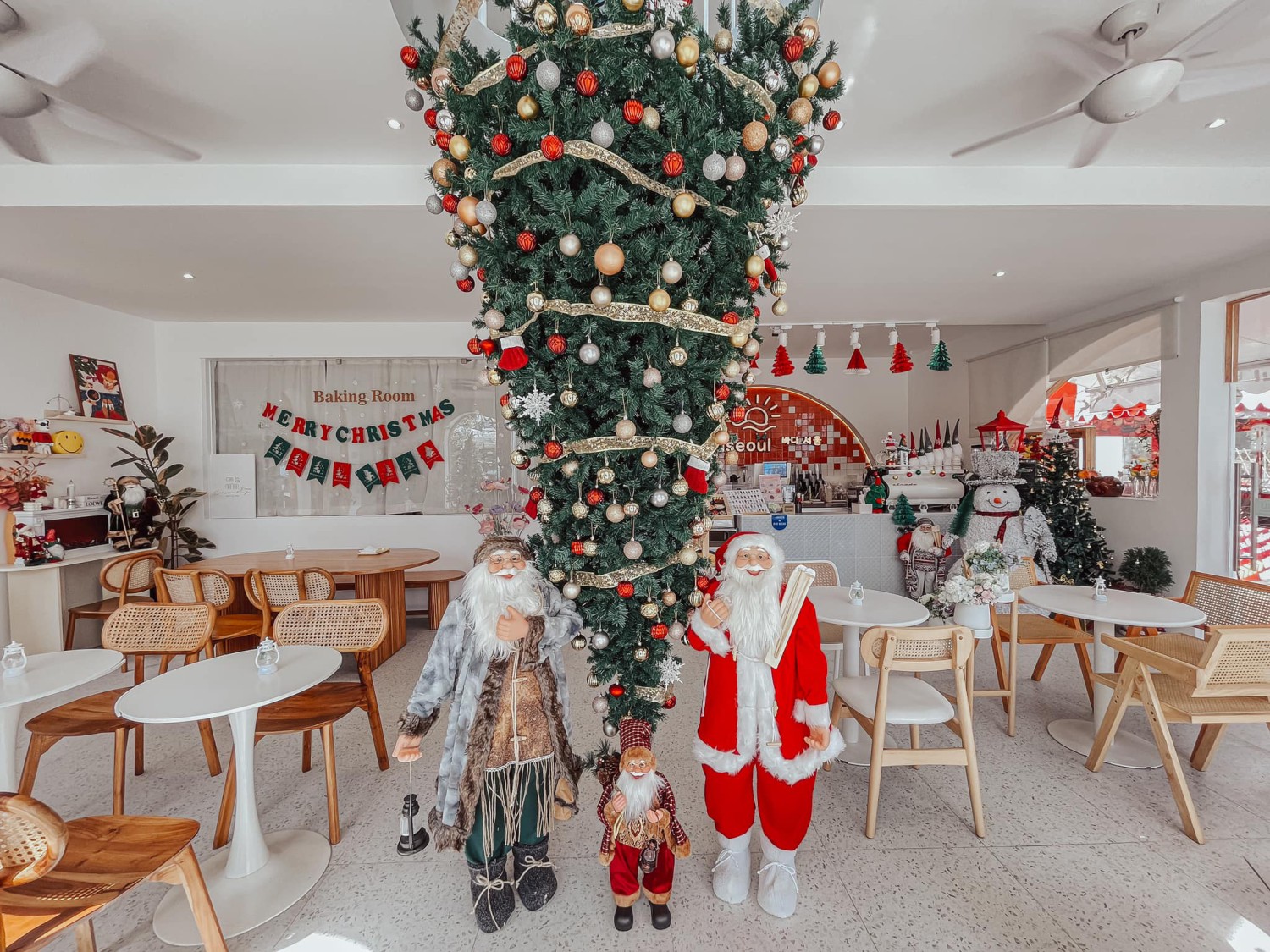 CURVE, STIRR Coffee, Haus Coffee and Space, SeaSeoul cafe, 1degreesnorth, Kongkang Kafe, กาเเฟริมน้ำ บ้านชูใจ, สวนก๋ง, กาแฟบ้านทวด, COFFEE BEACH, Jump at Sea, Whitebeam coffee & eatery
