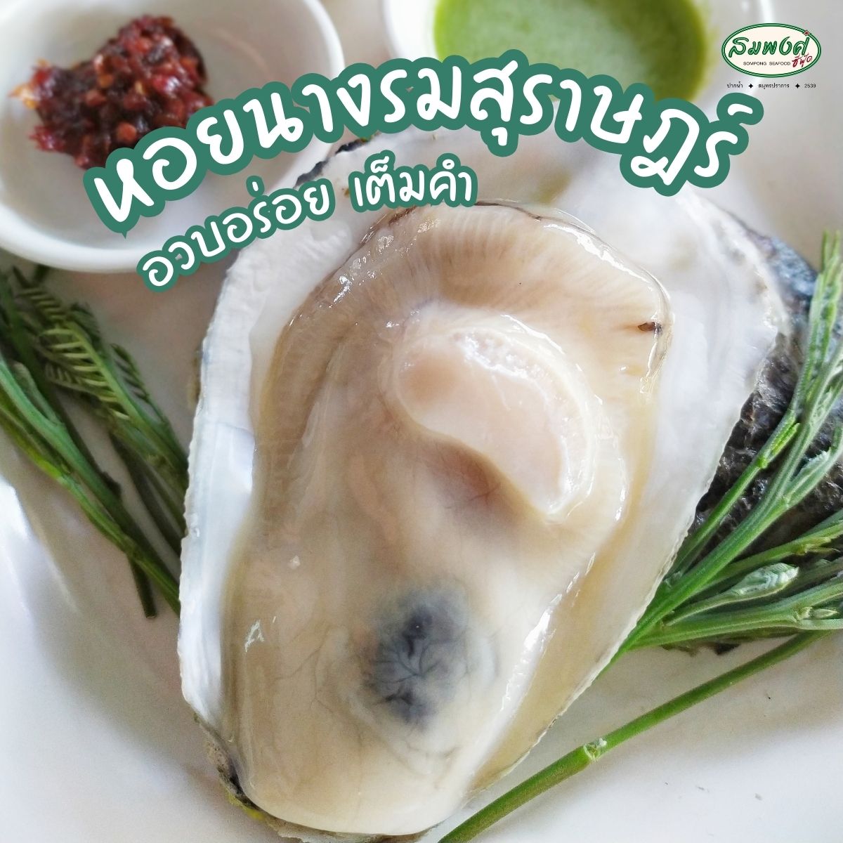 อุ่นใจริเวอร์ไซด์, สมพงศ์ ซีฟู๊ด, แป๊ะเก๊า โภชนา, ครัวบ้านเปิ้ล, ครัวปีกไม้, PLAY FARM Restaurant, เปียอู๋ โภชนา, ส้มตำดนตรี, สาขาเทพารักษ์, นายหมาทะเลมีชีวิต ตำหรุ, ครัวบุญเลิศ บางปู