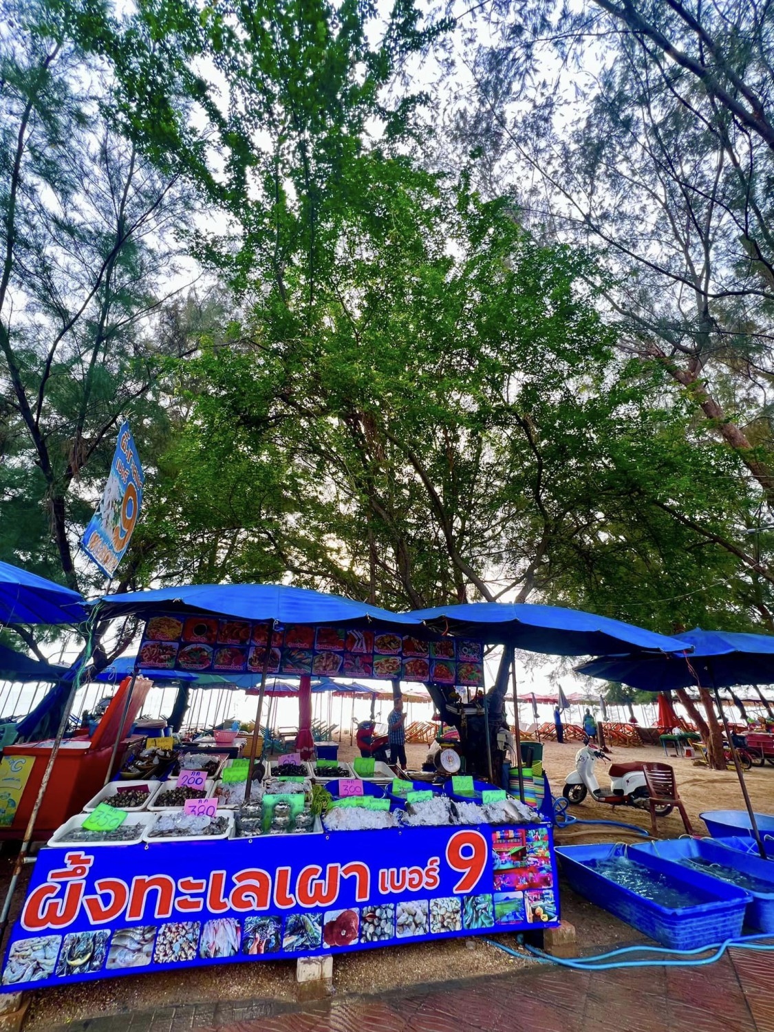 ครัวลุงมันซีฟู้ด, ตั้งฉ่ายซีฟู้ด, บ้านไร่น้ำอิง, พรทะเลซีฟู้ด, ศิริกัญญาซีฟู๊ด, ผึ้งทะเลเผา เบอร์ 9, ครัวป้ายืนซีฟู้ด, นู๋ยาซีฟู้ดชะอำ, ครัวเม็ดทราย, บ้านครัวทะเล, ครัวห้วยทราย, Platoo Restaurant, ครัวป้าเฉลียว, ร้านครัวพี่เปี๊ยก บางควาย