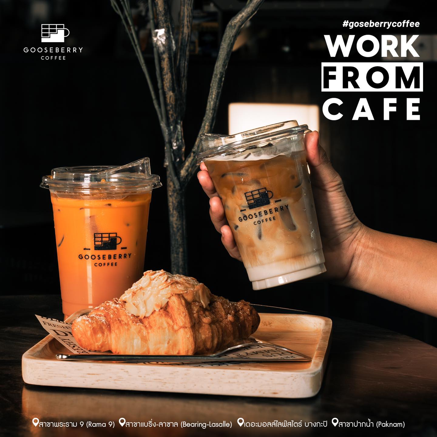 NANA Coffee Roasters, Mmc.bkk, FO SHO BRO, Dear December Cafe, The 66 Cottage, The Black Forest, Bougain Cafe & Crafts, La Mesa Coffee Co., Coffee Station, Gooseberry Coffee Bearing-Lasalle, OOOz.cafe , Shalala Cafe