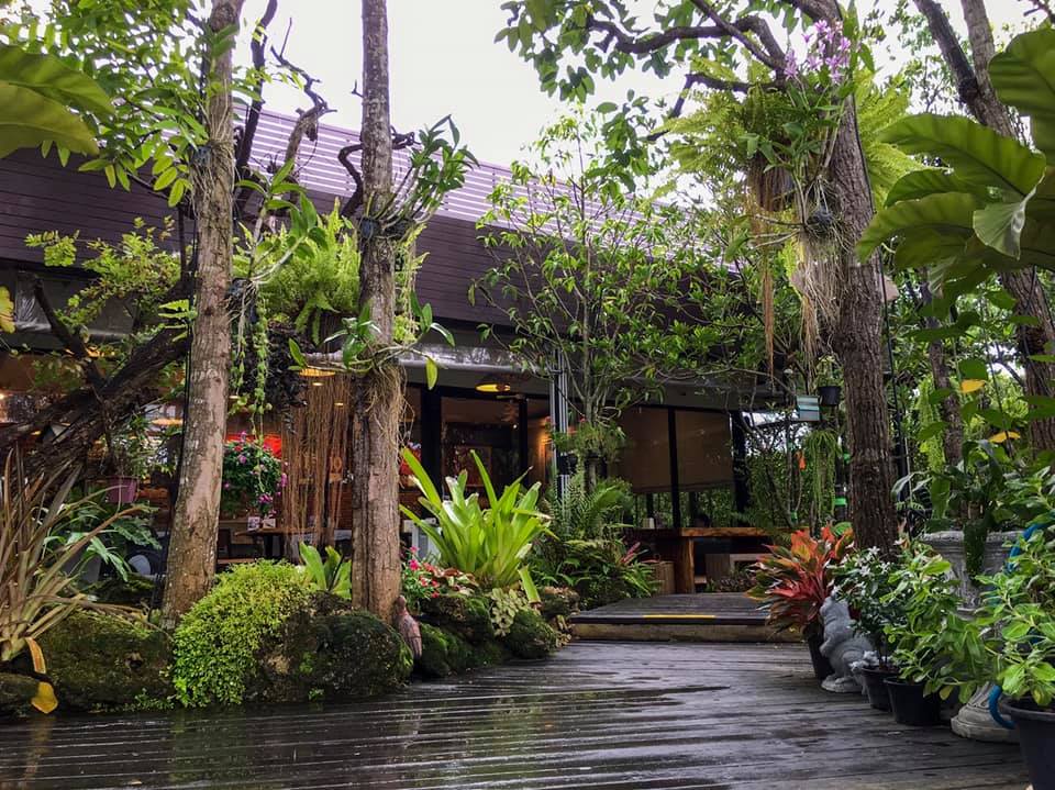 บ้านสวย ในสวน, Siam Brasserie , The Treehouse Nongchok, Natura Cafe, BaanNaiSuan Cafe&Yoga, Patom, Portobello & Désiré, ครัวบ้านสวนสุวรรณ, ร้านอาหารฐิตารีย์ สวนรถไฟ จตุจักร, บ้านสวน อบอวลรัก
