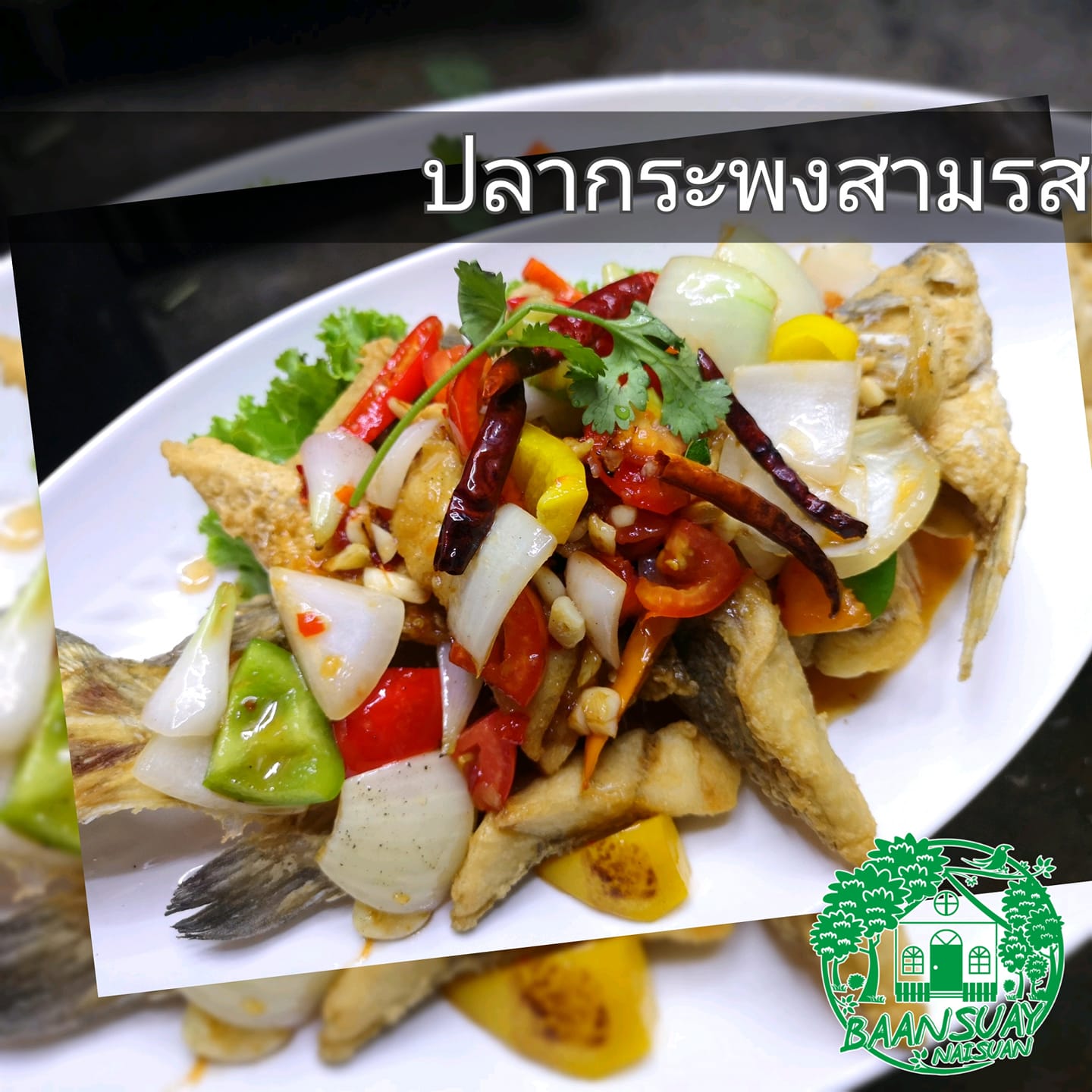 บ้านสวย ในสวน, Siam Brasserie , The Treehouse Nongchok, Natura Cafe, BaanNaiSuan Cafe&Yoga, Patom, Portobello & Désiré, ครัวบ้านสวนสุวรรณ, ร้านอาหารฐิตารีย์ สวนรถไฟ จตุจักร, บ้านสวน อบอวลรัก