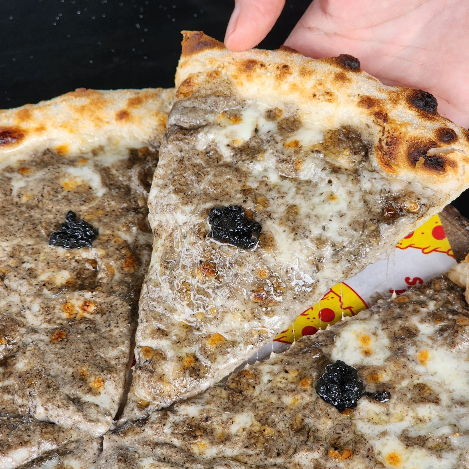 Pizzeria Limoncello, เชฟถนอม, กลมกล่อม BY CHEF AKE, Ciao Pizza, Pizza Aroy, Pizza Massilia, Grazie Pizzeria, The Garden Dough, Lanta Pizzeria, Mama Dolores, PizzaPazza, Dressage Horse Café, Pizzazo, Shelter Pizza พิซซ่าเตาถ่าน