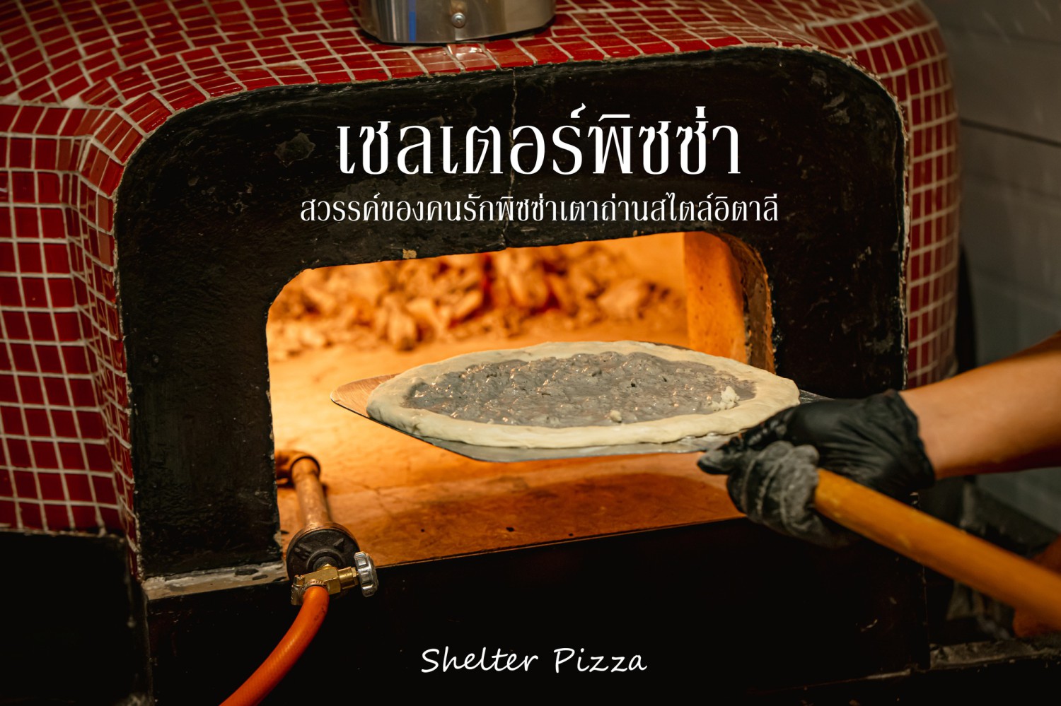 Pizzeria Limoncello, เชฟถนอม, กลมกล่อม BY CHEF AKE, Ciao Pizza, Pizza Aroy, Pizza Massilia, Grazie Pizzeria, The Garden Dough, Lanta Pizzeria, Mama Dolores, PizzaPazza, Dressage Horse Café, Pizzazo, Shelter Pizza พิซซ่าเตาถ่าน