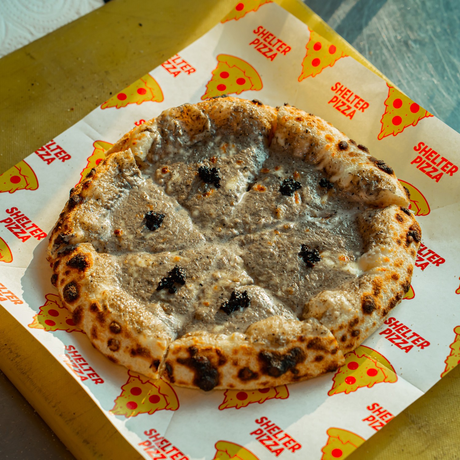 Pizzeria Limoncello, เชฟถนอม, กลมกล่อม BY CHEF AKE, Ciao Pizza, Pizza Aroy, Pizza Massilia, Grazie Pizzeria, The Garden Dough, Lanta Pizzeria, Mama Dolores, PizzaPazza, Dressage Horse Café, Pizzazo, Shelter Pizza พิซซ่าเตาถ่าน