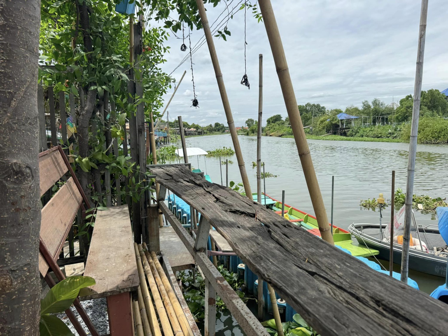 Smitten Cafe and Decor, Thong Ampai Café, THREE Cafe, Continue.cafe, Sunday in 345 cafe, Aprilhouse, The Aileen Cafe', Oliva Cafe, The Kottage Cafe, Plant Cafe, ปิ่นโตนามีตาล, Baan Kanom De'Pathum, Pumpkin Art Town, Mushroom Hut Cafe, KAD Cafe - กาด คาเฟ่, ADAM cafe