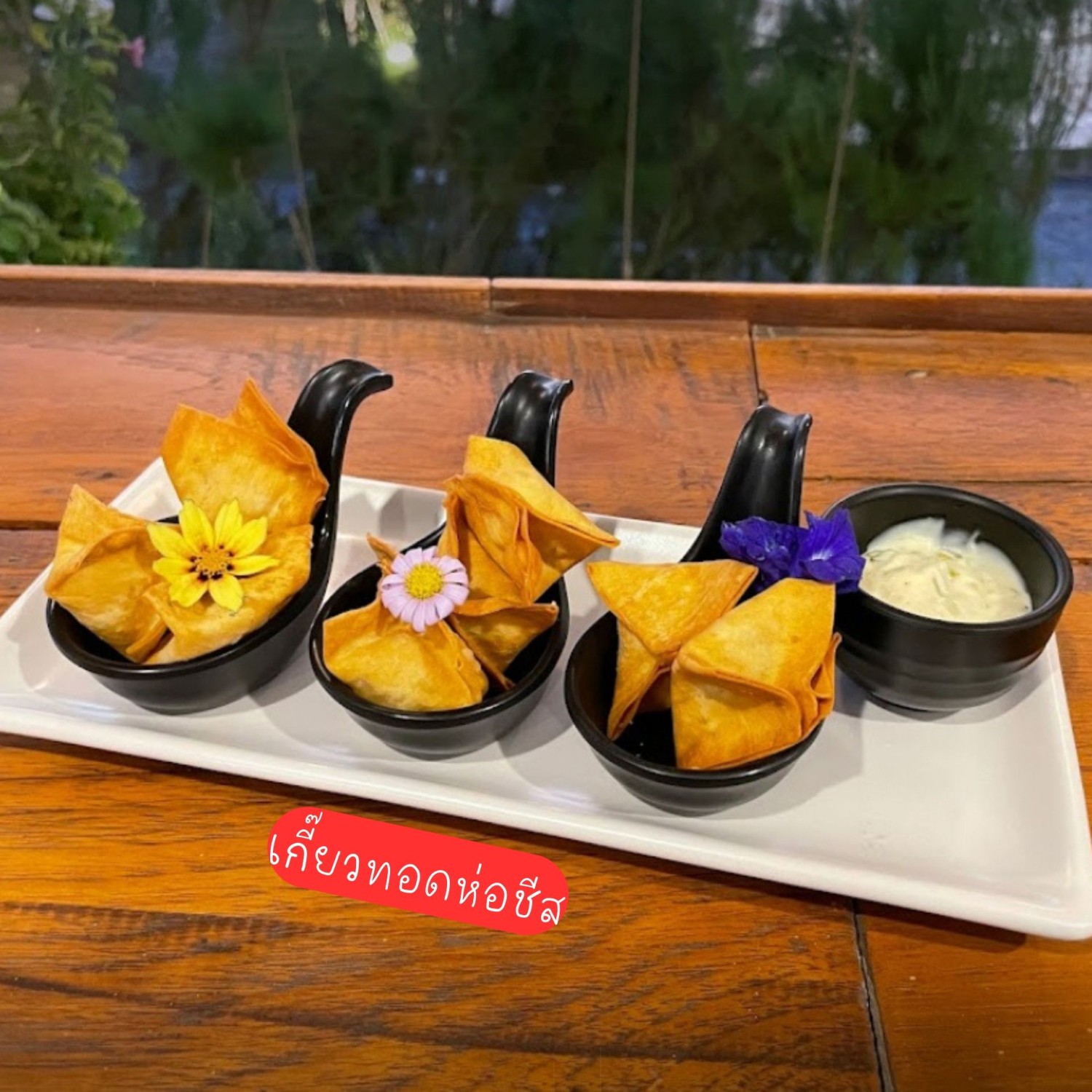 The Sine Cafe’, Whispering cafe, รักษ์น้ำคาเฟ่, Orenchi Cafe, KAWA Coffee and Co., Orenchi Specialty Coffee, Attitude Coffee, Memory House Cafe, In Garden Hut Cafe, ChataThammachart, She's The Legend Cafe, RIVA floating cafe, Good Mood House, นึก คาเฟ่ - วัดไร่ขิง, Ton Khao Terrace, CHADA Tea Boutique, Kark Crof.f