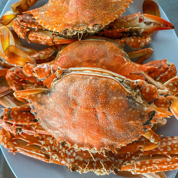 Pop View, ครัวบ้านกลางทะเล, Ripple Sea, ร้านลับหมึกช๊อต อ่าวอุดมซอย17, ร้านป๋าดำซีฟู้ด, ป้าแอ๊ดซีฟู๊ด, ติดดินซีฟู้ด, มุมอร่อย ศรีราชา, TOH CREW, เรือนน้ำซีฟู๊ด ศรีราชา, ครัวทะเล จันผา, ร้านอาหาร เฒ่าทะเล ซีฟู๊ด อ่าวอุดม, ร้านป้อมกินแล้วรวย