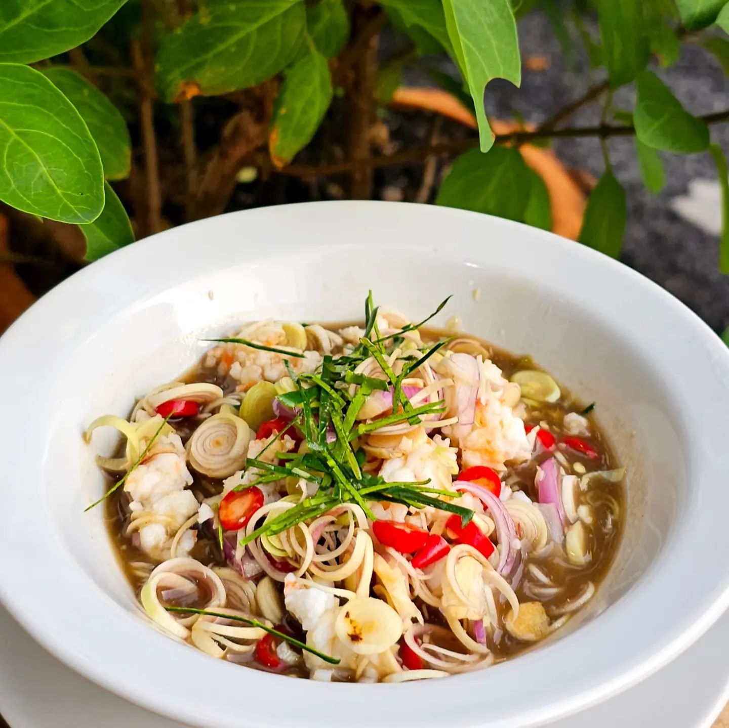 สวนชื่นสุข, Ar Restaurant Hatyai 嗳, ศิริ ต้มเลือดหมูหาดใหญ่, ไก่กรอบพี่เน่, ในรู, กุ๊กชัยติ่มซำ-ก๋วยเตี๋ยวราดหน้าปลากะพง, ร้านใต้ขอย ซอยตัน, กันเอง, หนานหยวน บะหมี่เกี๊ยวกุ้ง, สาขาปุณณกัณฑ์, ป่ายาง, บ้านก้ามปู, โชคดีแต่เตี้ยม บะกุ๊ดเต๋, ไก่ทอดหาดใหญ่มีนา, ร้านราดหน้าโกฉ่อน, ขนมจีนป้าชื่น, Space Bar, ขนมไข่เตาถ่านน้องนิล&คาเฟ่, ข้าวต้มรถแดง
