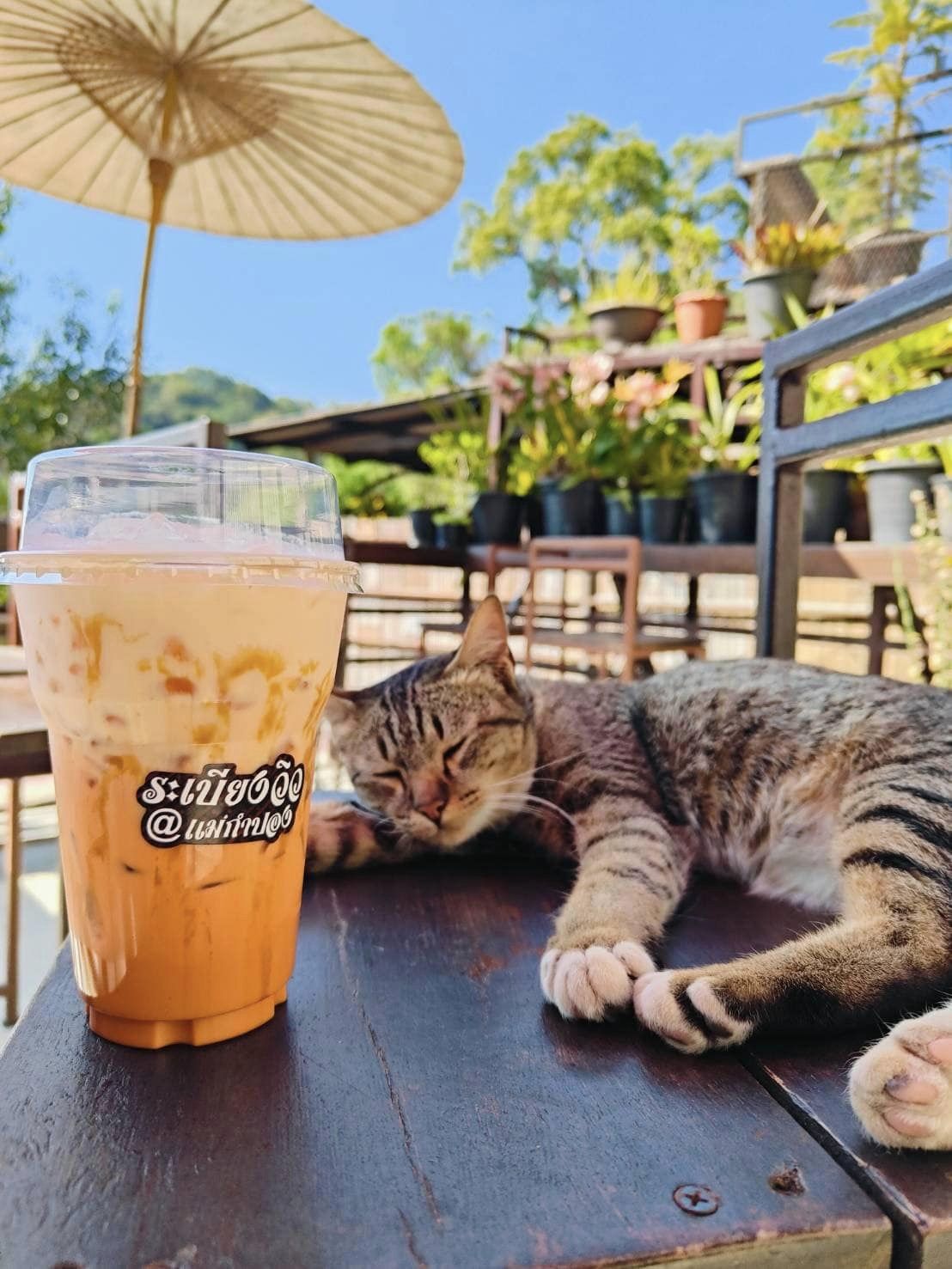 บ้านอิงดาว แม่กำปอง, Ma Du Doi Coffee แม่กำปอง, Teddu Coffee - Baansuphanbhum, ชมนกชมไม้, บ้านพักลุงปุ๊ด &amp; ป้าเป็ง แม่กำปอง, Pirunya Coffee, ร้านกาแฟฮ่อมดอย &amp; อาร์ตแกลเลอรี่ แห่งขุนเขา แม่กำปอง, บ้านหลงเขา แม่กำปอง &amp; ฮักเขา ฟาร์มสเตย์, ระเบียงวิวแม่กำปอง, ณ แม่กำปอง ร้านอาหารแม่กำปอง