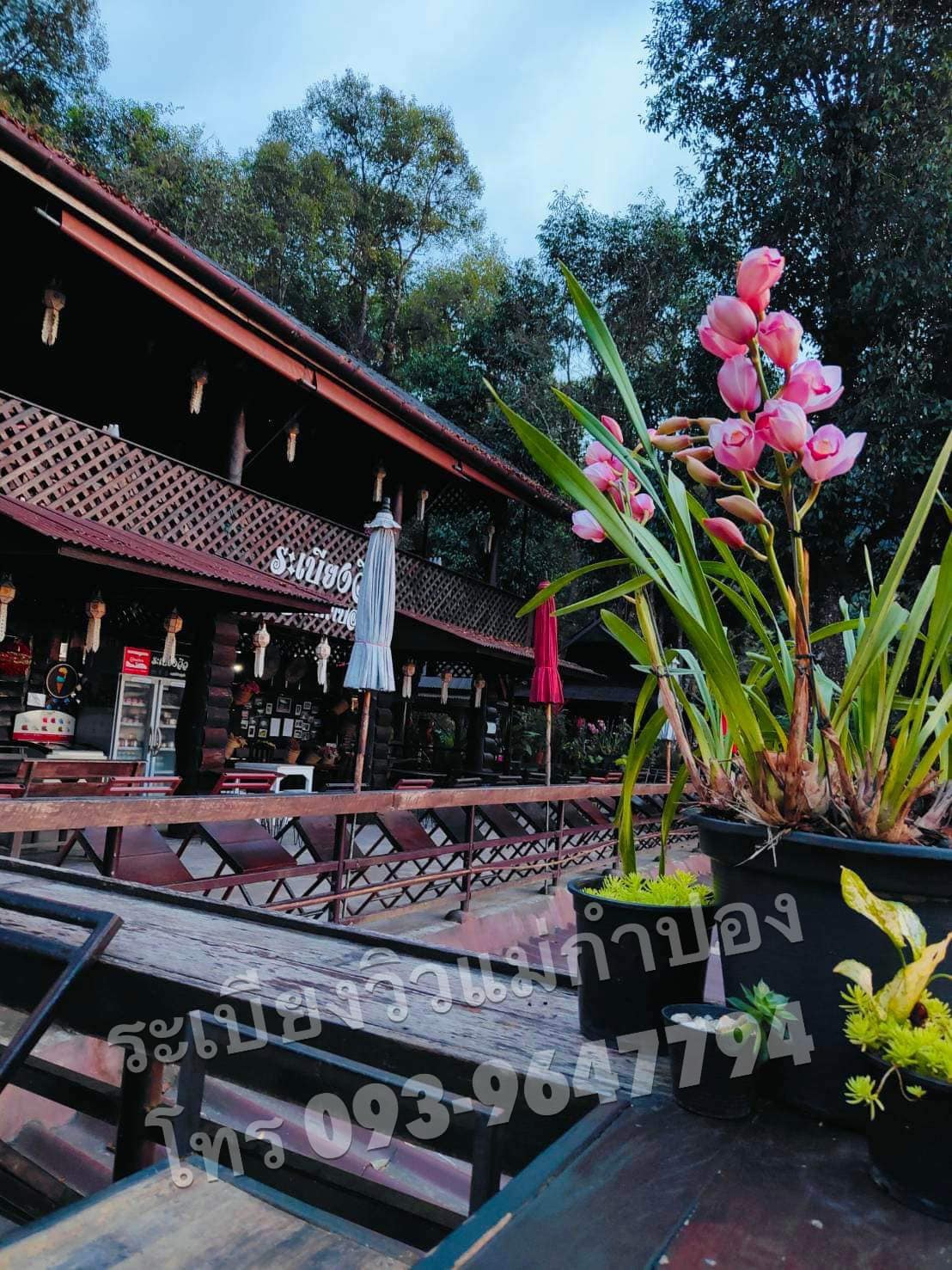 บ้านอิงดาว แม่กำปอง, Ma Du Doi Coffee แม่กำปอง, Teddu Coffee - Baansuphanbhum, ชมนกชมไม้, บ้านพักลุงปุ๊ด &amp; ป้าเป็ง แม่กำปอง, Pirunya Coffee, ร้านกาแฟฮ่อมดอย &amp; อาร์ตแกลเลอรี่ แห่งขุนเขา แม่กำปอง, บ้านหลงเขา แม่กำปอง &amp; ฮักเขา ฟาร์มสเตย์, ระเบียงวิวแม่กำปอง, ณ แม่กำปอง ร้านอาหารแม่กำปอง