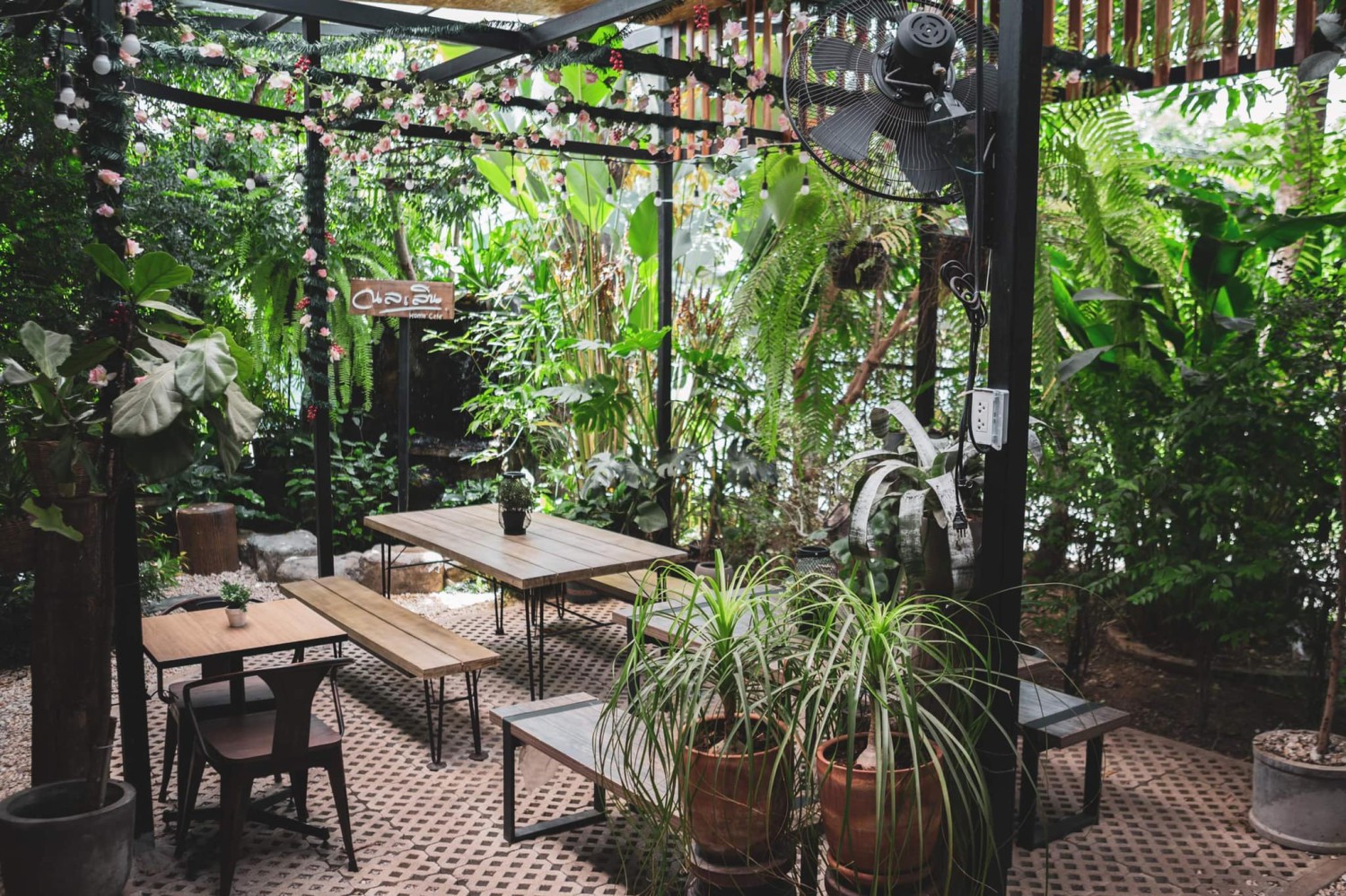 Mixirista Lampang, TIN’N, Wooden House Cafe', Karpenter cafe&amp;bake, Secret Garden Cafe, บ้านนอกคาเฟ่, Kin Cafe' Lampang, ณ หิรัญ คาเฟ่, Himwang Café, ไอหย๋า ปังนม, Dezato Cafe, อาร์มแชร์ คาเฟ่, โก๋กาแฟ ธรรมดาเป็นพิเศษ, Nalalin Home Cafe-Lampang, NOP Cafe&amp;Bistro, ก๋างต้ง, Moungngwezin