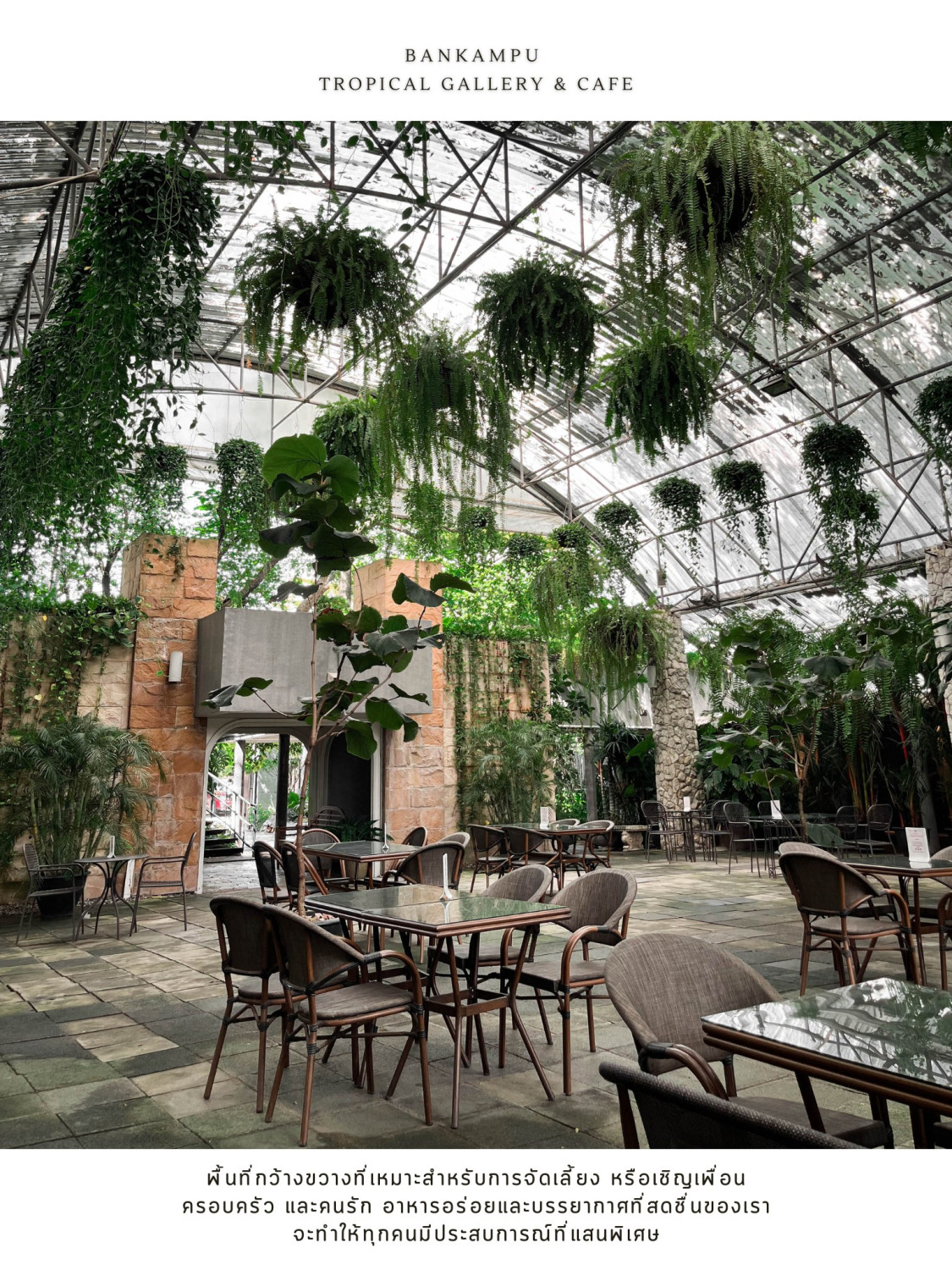 Midwinter, Dandelion Bake Studio, Cafe Reverie, Portobello & Désiré, Level 50 by SEE FAH, Siam Yacht Club, Blue Sky, at Centara Grand, Mezzaluna Restaurant