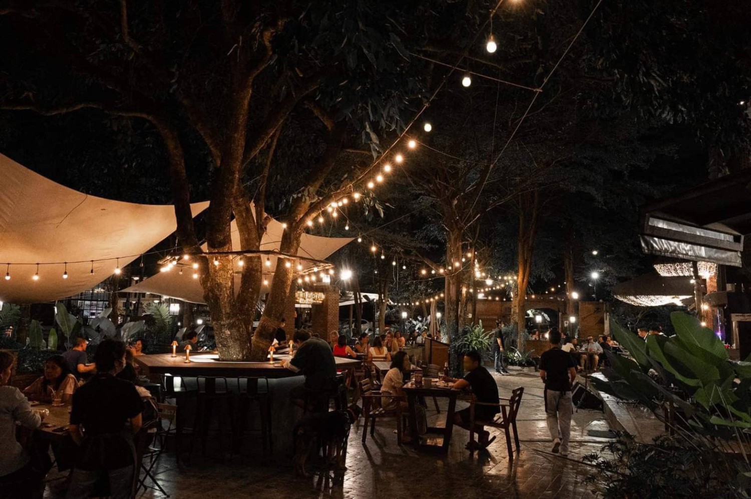Weroast, Breeze Café & Bar, High Octane Café, Hidden Backyard, RYNN KAFFE Specialty Coffee, 30 Thirsty