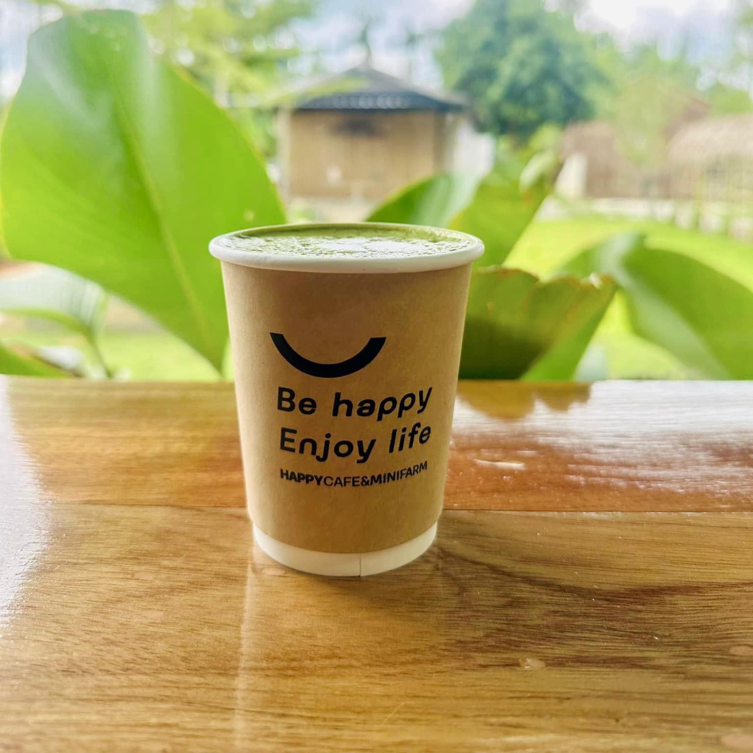 MOONSTo̲̲NE, Bread Crumbs Cafe, Happy Cafe and Minifarm, เสื่อผืน หมอนใบ, WA-Phuket, Honest Coffee &amp; Service, Grove Phuket, RYN, DouBrew Coffee &amp; Craft, The Tent, หนัง(สือ)2521
