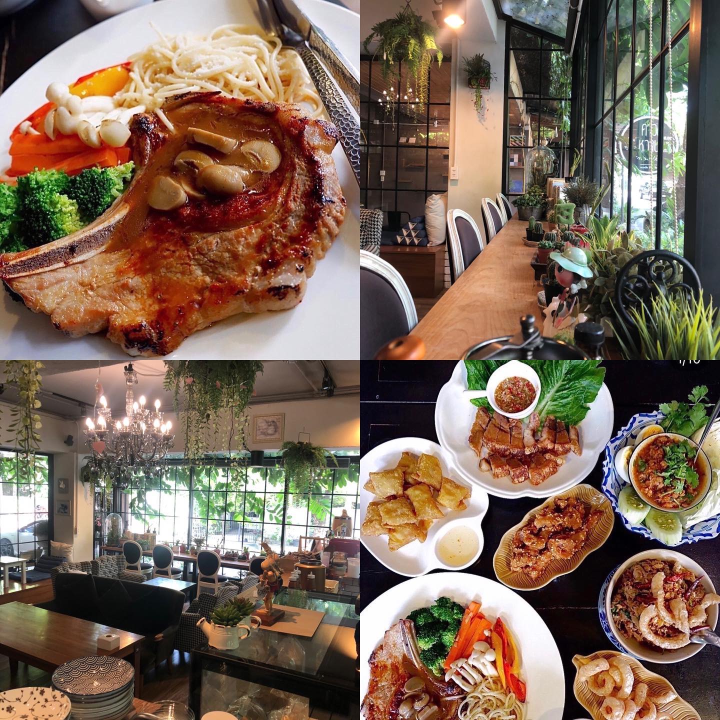 ครัวจำแลง แปลงกาย, Kojiro Japanese Cuisine, ฮองมิน ภัตตาคารจีน, Chom Arun, The Yard Restaurant, Laychale, DE VIVA, Sheep Village, กุ้งเต้น, อรรถรส, กินลมชมสะพาน, บ้านน้ำเคียงดิน, 1 of a kind, คาวหวาน Noodle&amp;cafe