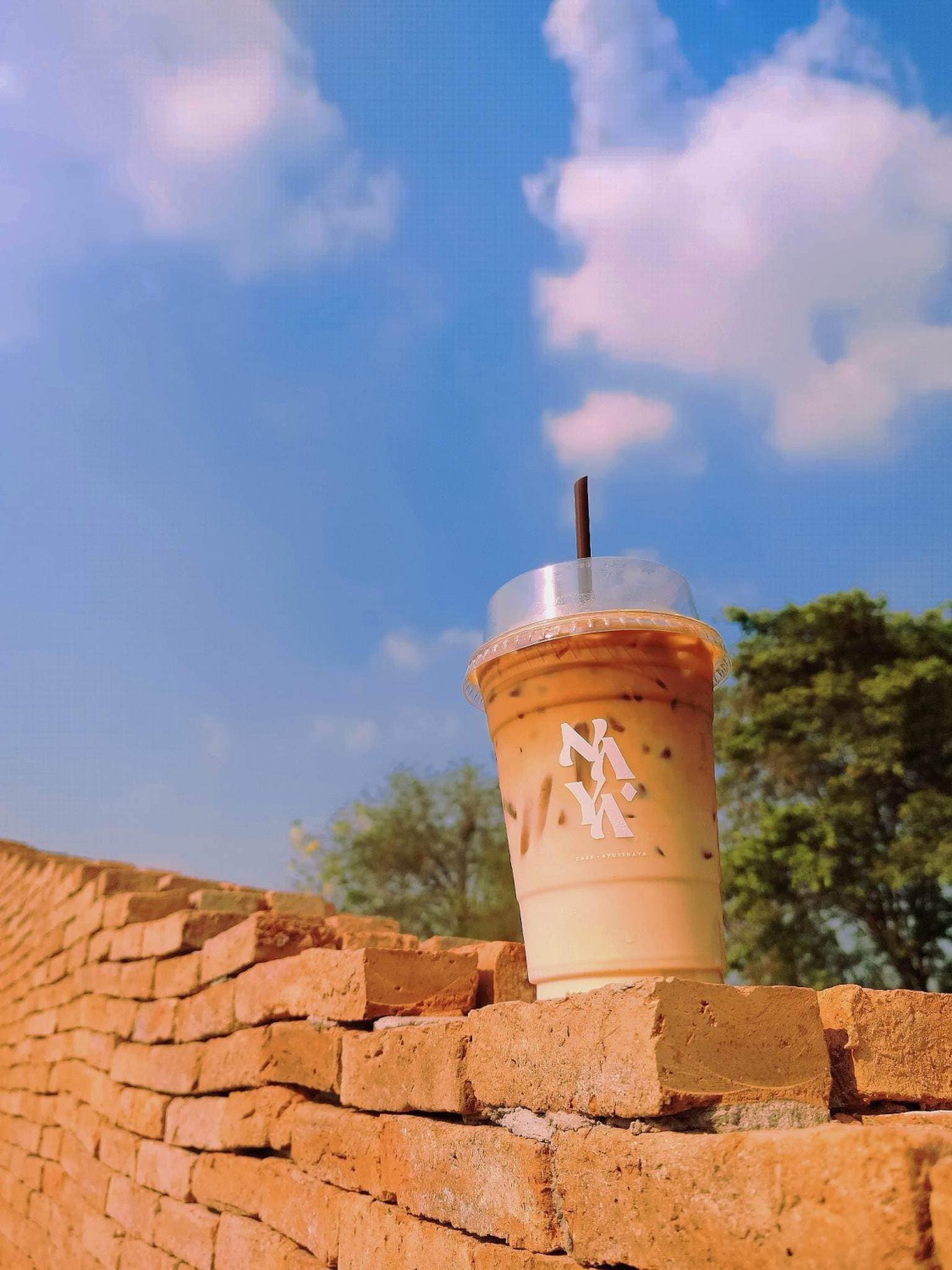 NAYA Cafe, Krasai.cafe, Sanoh at Ayutthaya, ชีวาคาเฟ่, FENG, Tewa Cafe Ayutthaya, Homeboy, PRANG VIEW, Peko Peko Cafe - ペ コ ペ コ, A Lovely Table, Busaba Cafe & Meal, WIWA House Cafe', The Summer House, Phoyard, Cafe' de Zia, Café Kantary Ayutthaya, บ้านข้าวหนม, Basic Space Coffee, Cafe'Trifecta, ในคลองคาเฟ่, ไม้ขาวคาเฟ่ ayutthaya, ชงนวล'Cafe