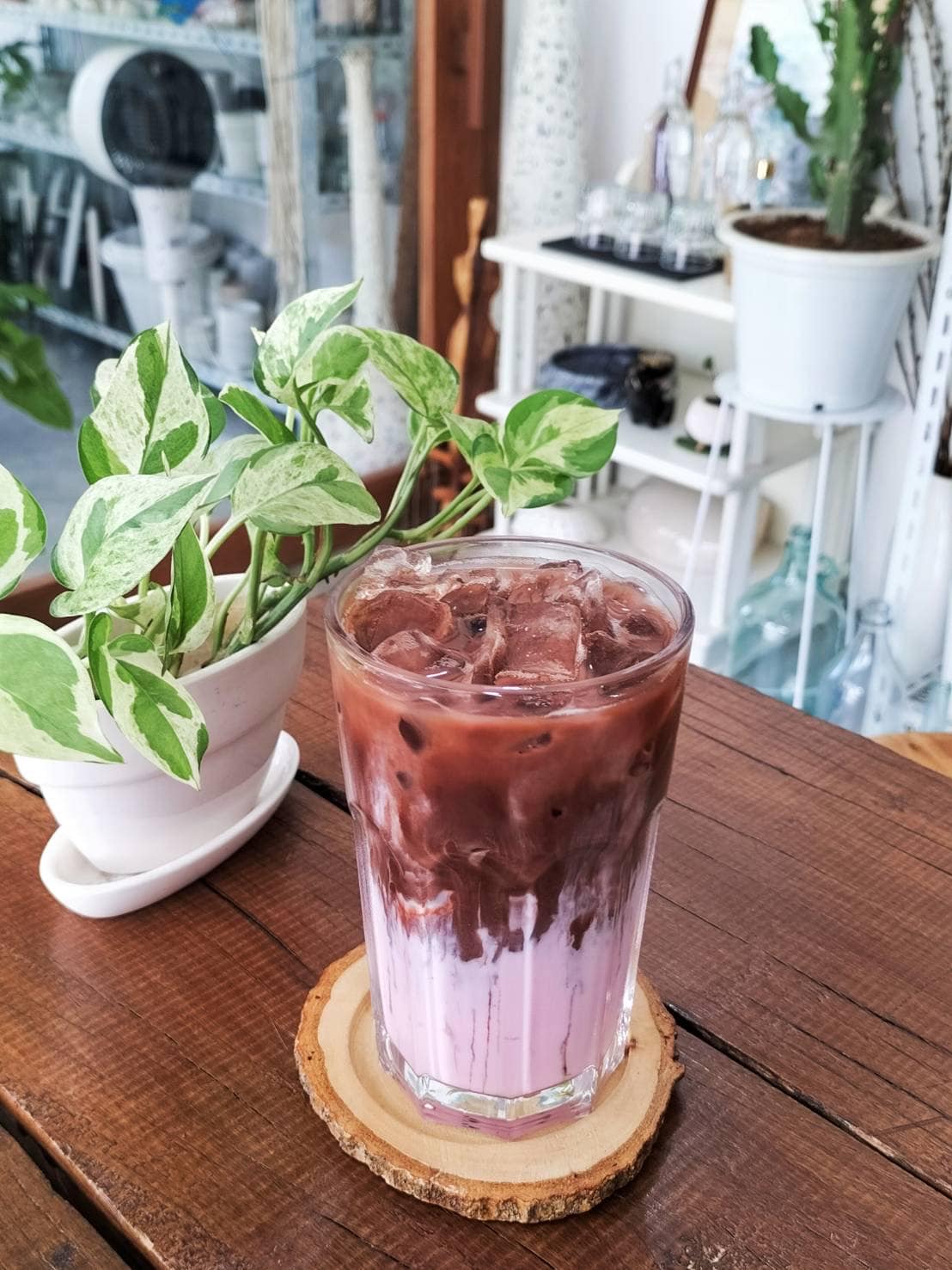 stuff.co, ARCH x CHANN Cafe, เฮโลนมสด, LYNX Coffee