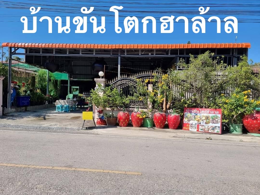 เฮือนขันโตก ขนมจีน บ้านน้ำพริก, Mira Cuisine, ถึงเจียงใหม่ คิทเช่น อาหารเหนือ, สบันงา, คุ้มขันโตก, ลำแต๊ๆ, หอมป้อมหอมเป, บ้านขันโตกฮาลาล