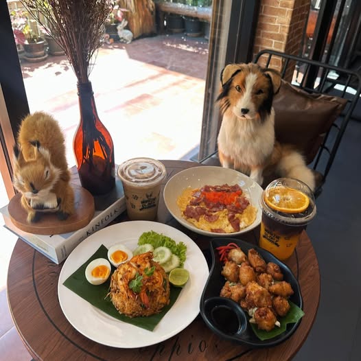 Pransuk, Khagee sriracha cafe, Manga Coffee & Craft, Morning Glory Cafe, สาขาศรีราชา