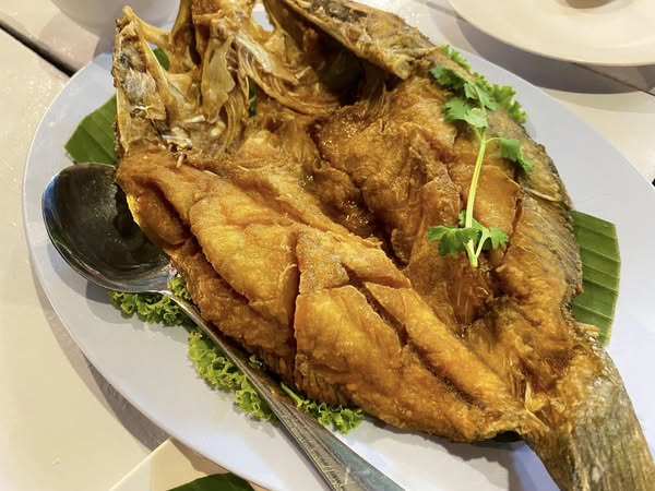 กอบัว, บ้านอาหารไทย, บ้านบัว, บ้านรั้วไม้ Cuisine & Cafe, ครัวหอมมันปู, ร้านไหน อุทยานหินเขางู ราชบุรี, สวนอาหาร รางตาล, Pakmud แซ่บหมูทะ, สาขาโพธาราม, ถึงพริกถึงขิง, มะม่วงคู่, เนื้อต้มบ้านสิงห์ เจ๊ติ๋ม, โกรกแดง, ชุมทางของอร่อย, Mainichi365, Octospider restaurant, Lim cafe Photaram, ครัวตะนาวศรี สวนผึ้ง ราชบุรี, อาตี๋โกปี๊, โอปอชิฟฟ่อนเค้ก, ก๋วยเตี๋ยวปลาแม่กลอง, ติ๋มเค้กมะพร้าวอ่อน, ก๋วยเตี๋ยวโบราณป้าฮวย, โอ่งข้าวโอ่งน้ำ, ครัวม่อนไข่ สวนผึ้ง ราชบุรี, ShabuDo