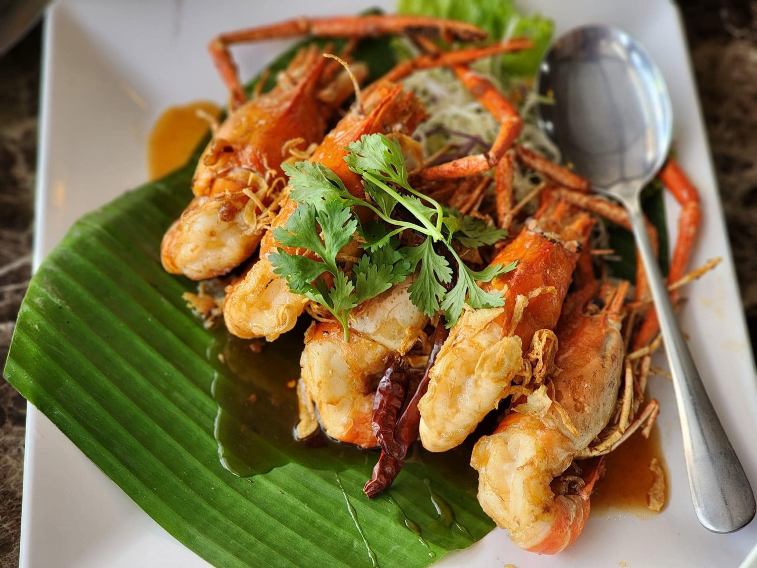 กอบัว, บ้านอาหารไทย, บ้านบัว, บ้านรั้วไม้ Cuisine & Cafe, ครัวหอมมันปู, ร้านไหน อุทยานหินเขางู ราชบุรี, สวนอาหาร รางตาล, Pakmud แซ่บหมูทะ, สาขาโพธาราม, ถึงพริกถึงขิง, มะม่วงคู่, เนื้อต้มบ้านสิงห์ เจ๊ติ๋ม, โกรกแดง, ชุมทางของอร่อย, Mainichi365, Octospider restaurant, Lim cafe Photaram, ครัวตะนาวศรี สวนผึ้ง ราชบุรี, อาตี๋โกปี๊, โอปอชิฟฟ่อนเค้ก, ก๋วยเตี๋ยวปลาแม่กลอง, ติ๋มเค้กมะพร้าวอ่อน, ก๋วยเตี๋ยวโบราณป้าฮวย, โอ่งข้าวโอ่งน้ำ, ครัวม่อนไข่ สวนผึ้ง ราชบุรี, ShabuDo