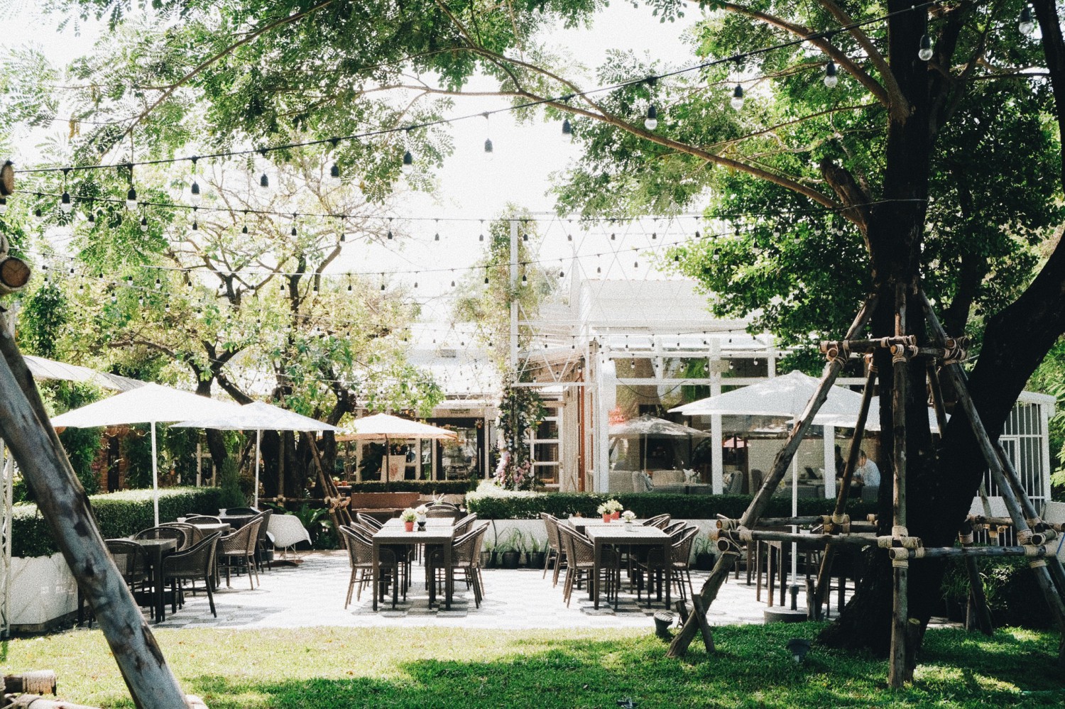Hansacafe.food.garden, Green House Bistro, BECX, Plantnery Green Café, Langbaan cafe&amp;chill, ฉลู คาเฟ่, Mom’s Veggie Cafe, Another Home Cafe, Me Long Cafe, ร.เรือตัวอ้วน, Slot Co-Working Space, Mitte Coffee, Mita Coffee and Art, Bluebell Café, 10cc Coffee