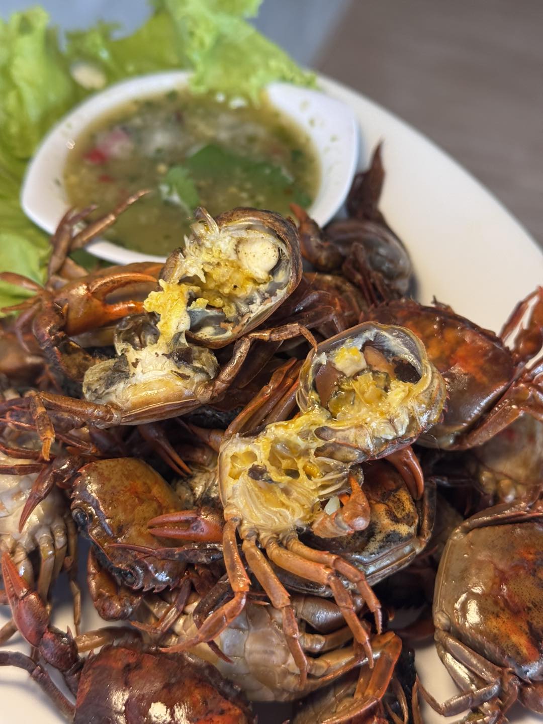 กอบัว, บ้านอาหารไทย, บ้านบัว, บ้านรั้วไม้ Cuisine & Cafe, ครัวหอมมันปู, ร้านไหน อุทยานหินเขางู ราชบุรี, สวนอาหาร รางตาล, Pakmud แซ่บหมูทะ, สาขาโพธาราม, ถึงพริกถึงขิง, มะม่วงคู่, เนื้อต้มบ้านสิงห์ เจ๊ติ๋ม, โกรกแดง, ชุมทางของอร่อย, Mainichi365, Octospider restaurant, Lim cafe Photaram, ครัวตะนาวศรี สวนผึ้ง ราชบุรี, อาตี๋โกปี๊, โอปอชิฟฟ่อนเค้ก, ก๋วยเตี๋ยวปลาแม่กลอง, ติ๋มเค้กมะพร้าวอ่อน, ก๋วยเตี๋ยวโบราณป้าฮวย, โอ่งข้าวโอ่งน้ำ, ครัวม่อนไข่ สวนผึ้ง ราชบุรี, ShabuDo
