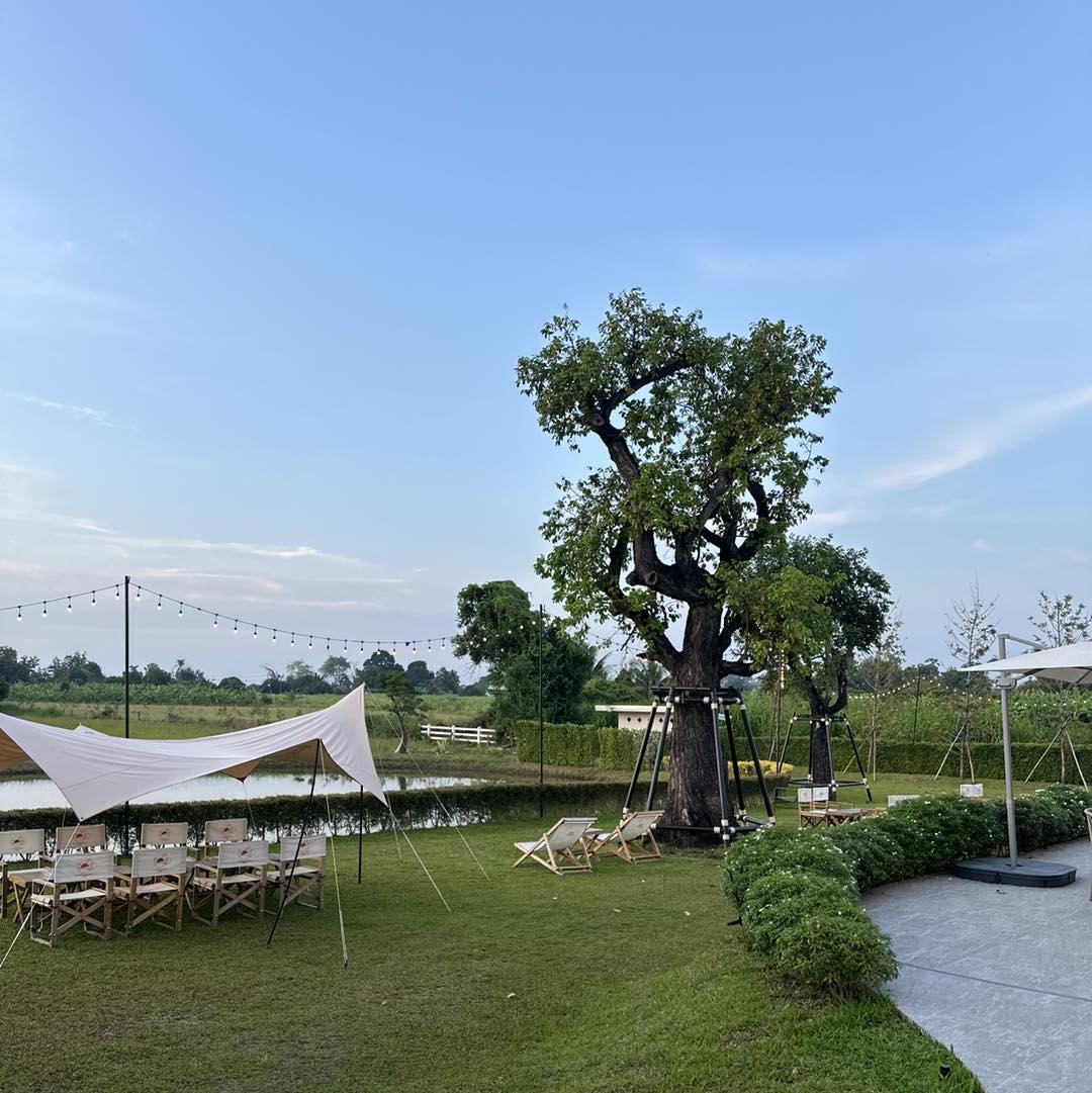 Midland Fami, Chorntawan café - ชอนตะวัน คาเฟ่, 5050cafebar, Baanbaicafe บ้านใบคาเฟ่, Lemon Me Farm, Autumn haus, STARTCafé, April Flavors cafe, Destiny cafe'
