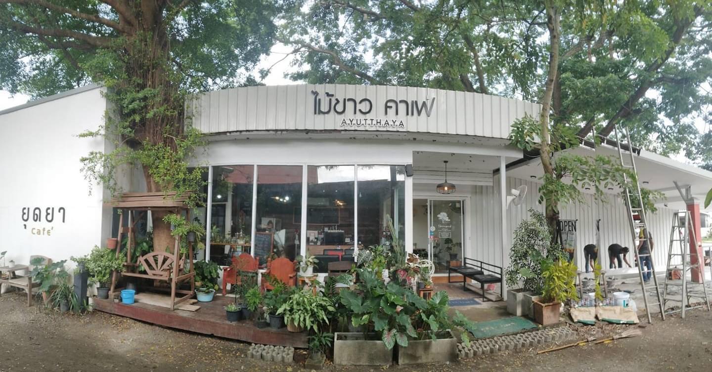NAYA Cafe, Krasai.cafe, Sanoh at Ayutthaya, ชีวาคาเฟ่, FENG, Tewa Cafe Ayutthaya, Homeboy, PRANG VIEW, Peko Peko Cafe - ペ コ ペ コ, A Lovely Table, Busaba Cafe & Meal, WIWA House Cafe', The Summer House, Phoyard, Cafe' de Zia, Café Kantary Ayutthaya, บ้านข้าวหนม, Basic Space Coffee, Cafe'Trifecta, ในคลองคาเฟ่, ไม้ขาวคาเฟ่ ayutthaya, ชงนวล'Cafe