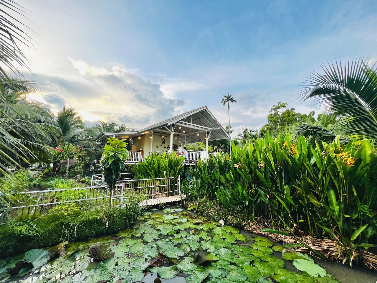 บ้านสวย ในสวน, Siam Brasserie , The Treehouse Nongchok, Natura Cafe, BaanNaiSuan Cafe&Yoga, Patom, Portobello & Désiré, ครัวบ้านสวนสุวรรณ, ร้านอาหารฐิตารีย์ สวนรถไฟ จตุจักร, บ้านสวน อบอวลรัก