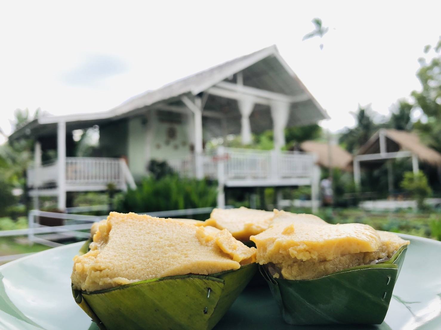 บ้านสวย ในสวน, Siam Brasserie , The Treehouse Nongchok, Natura Cafe, BaanNaiSuan Cafe&Yoga, Patom, Portobello & Désiré, ครัวบ้านสวนสุวรรณ, ร้านอาหารฐิตารีย์ สวนรถไฟ จตุจักร, บ้านสวน อบอวลรัก