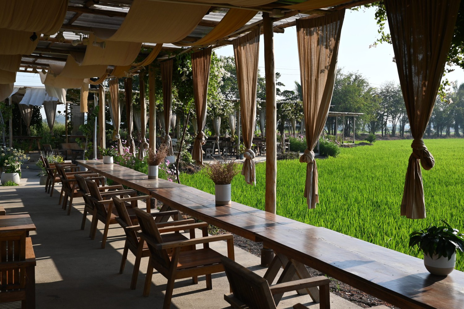 Smitten Cafe and Decor, Thong Ampai Café, THREE Cafe, Continue.cafe, Sunday in 345 cafe, Aprilhouse, The Aileen Cafe', Oliva Cafe, The Kottage Cafe, Plant Cafe, ปิ่นโตนามีตาล, Baan Kanom De'Pathum, Pumpkin Art Town, Mushroom Hut Cafe, KAD Cafe - กาด คาเฟ่, ADAM cafe