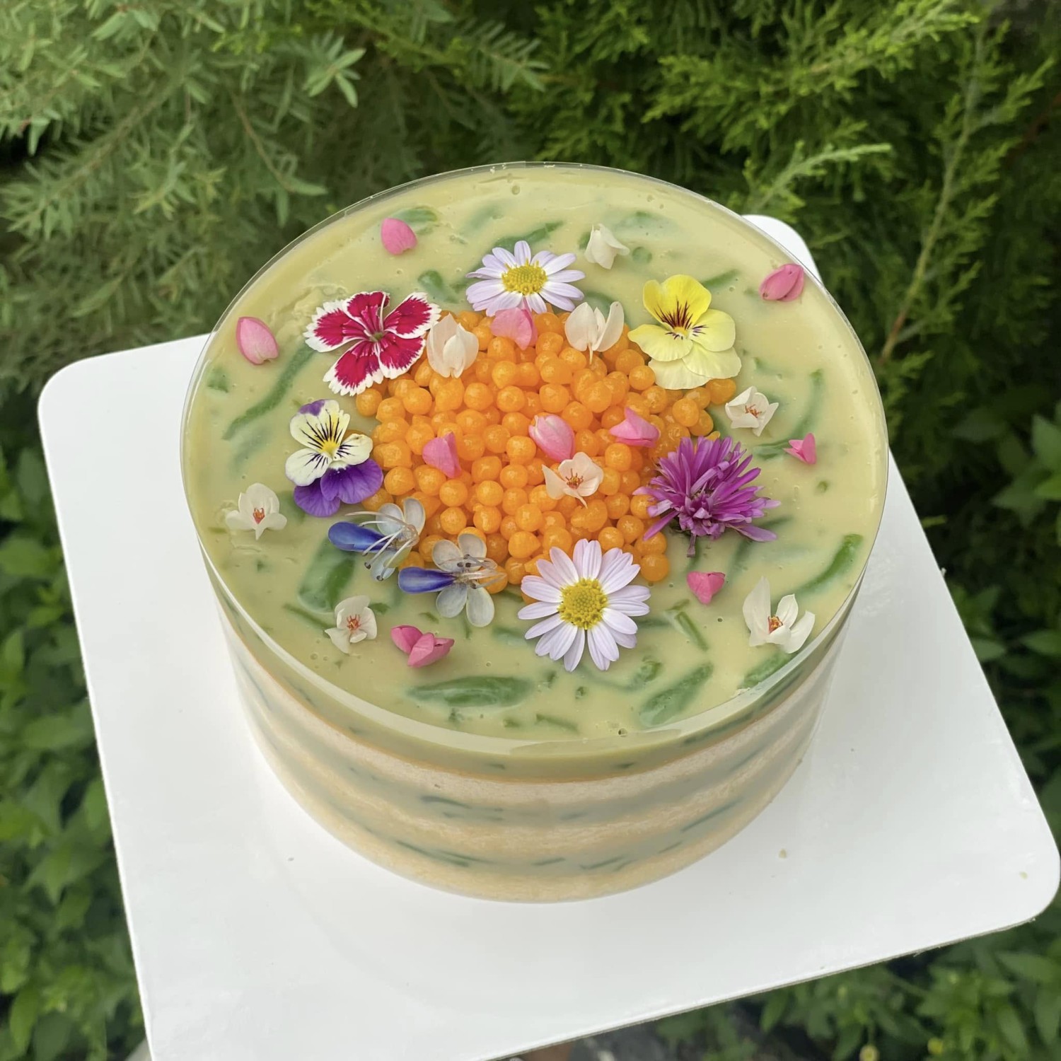บ้านสวนกำไรสุข, 321 Furusato-ふるさと, เพลินปะกง คาเฟ่, Sun up Café, สวนป่าบ้านลุง, 87 Home Cafe', บ้านตั้งต้น, Norris Coffee, Cafe de Mu, คาเฟ่แรงใจ