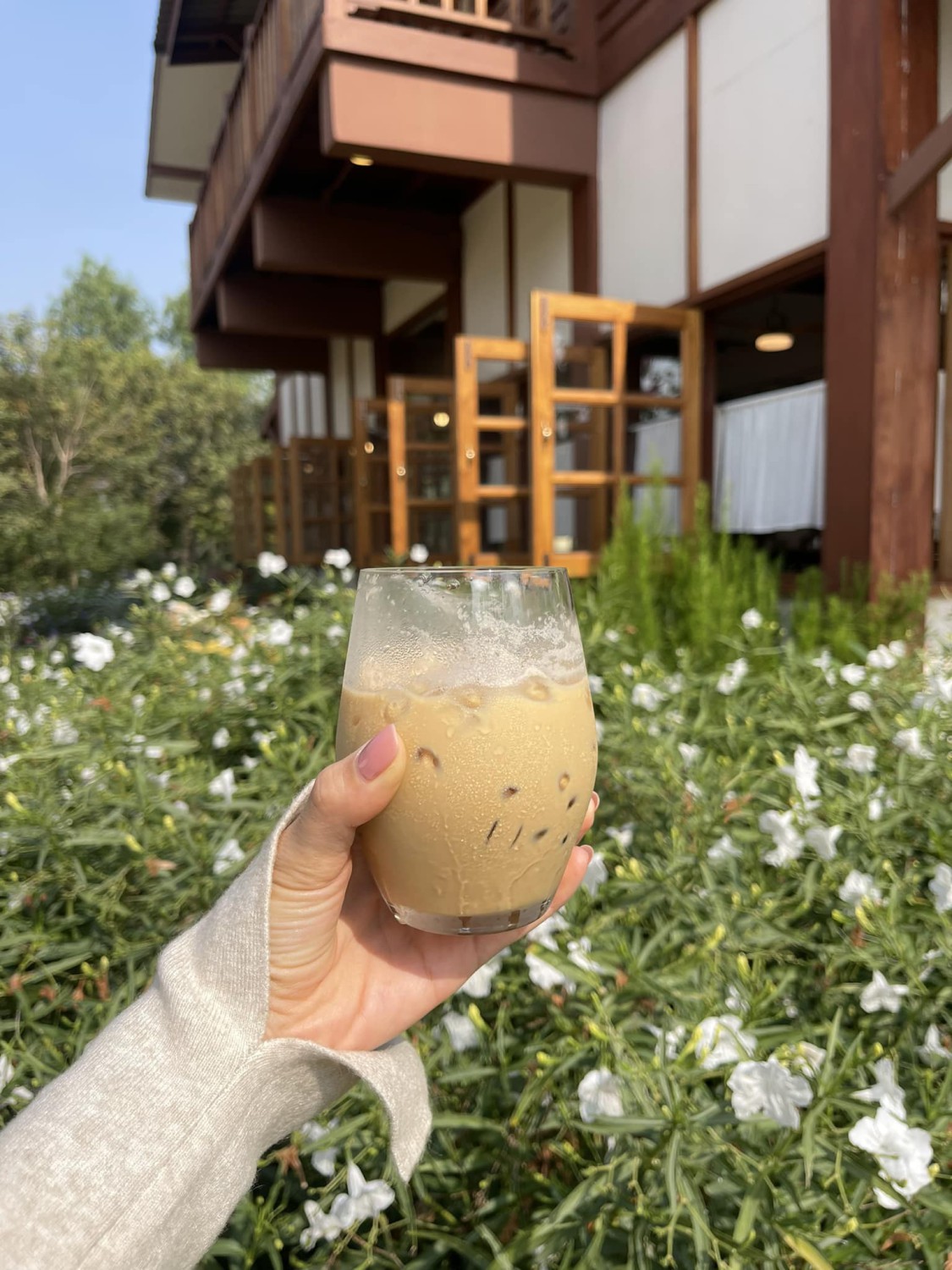 บ้านสวนกำไรสุข, 321 Furusato-ふるさと, เพลินปะกง คาเฟ่, Sun up Café, สวนป่าบ้านลุง, 87 Home Cafe', บ้านตั้งต้น, Norris Coffee, Cafe de Mu, คาเฟ่แรงใจ