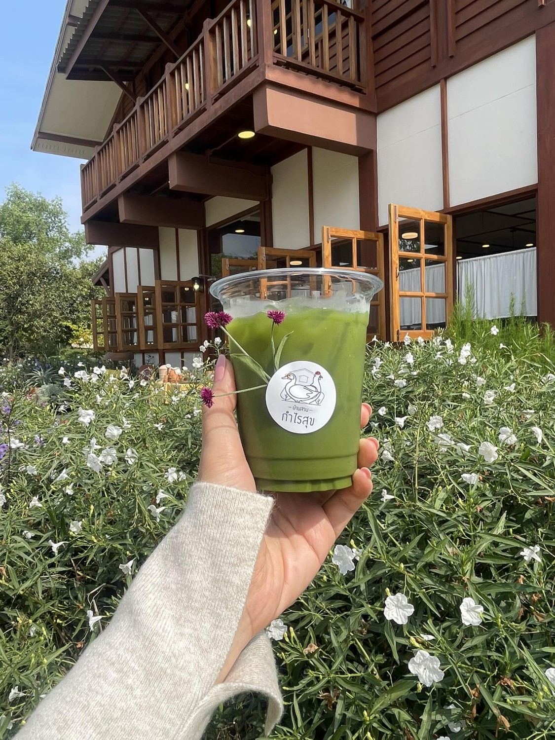 บ้านสวนกำไรสุข, 321 Furusato-ふるさと, เพลินปะกง คาเฟ่, Sun up Café, สวนป่าบ้านลุง, 87 Home Cafe', บ้านตั้งต้น, Norris Coffee, Cafe de Mu, คาเฟ่แรงใจ