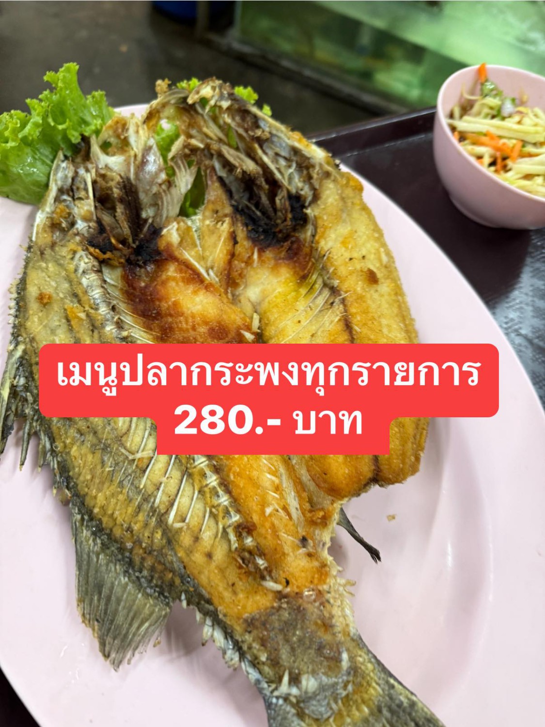 บัน'S TOWN, สากลนคร, CHEER BAN, เก๋าใหญ่ซีฟู้ด, ข้าวบ้านแม่