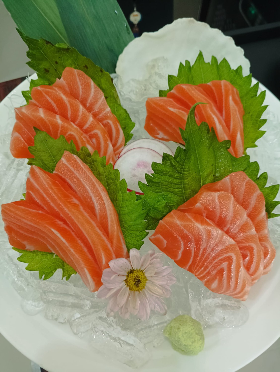 Jugemu, ข้าวปั้น, Sensei Ramen, SalmoniA, Masaru Sushi, TOMA sushi