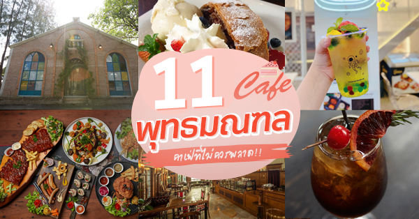 Cafeccini, Bootcamp Cafe, SUNKISS.bangkok, Nine Cafe, บ้านและเกสร, Dog Country Cafe, Kaffeehaus, คาเฟ่ บ้านหมี, หวานกรอบ Farm &amp; Cafe, Mamaison cafe, แสงตะวันฟาร์ม เมล่อนสาย4