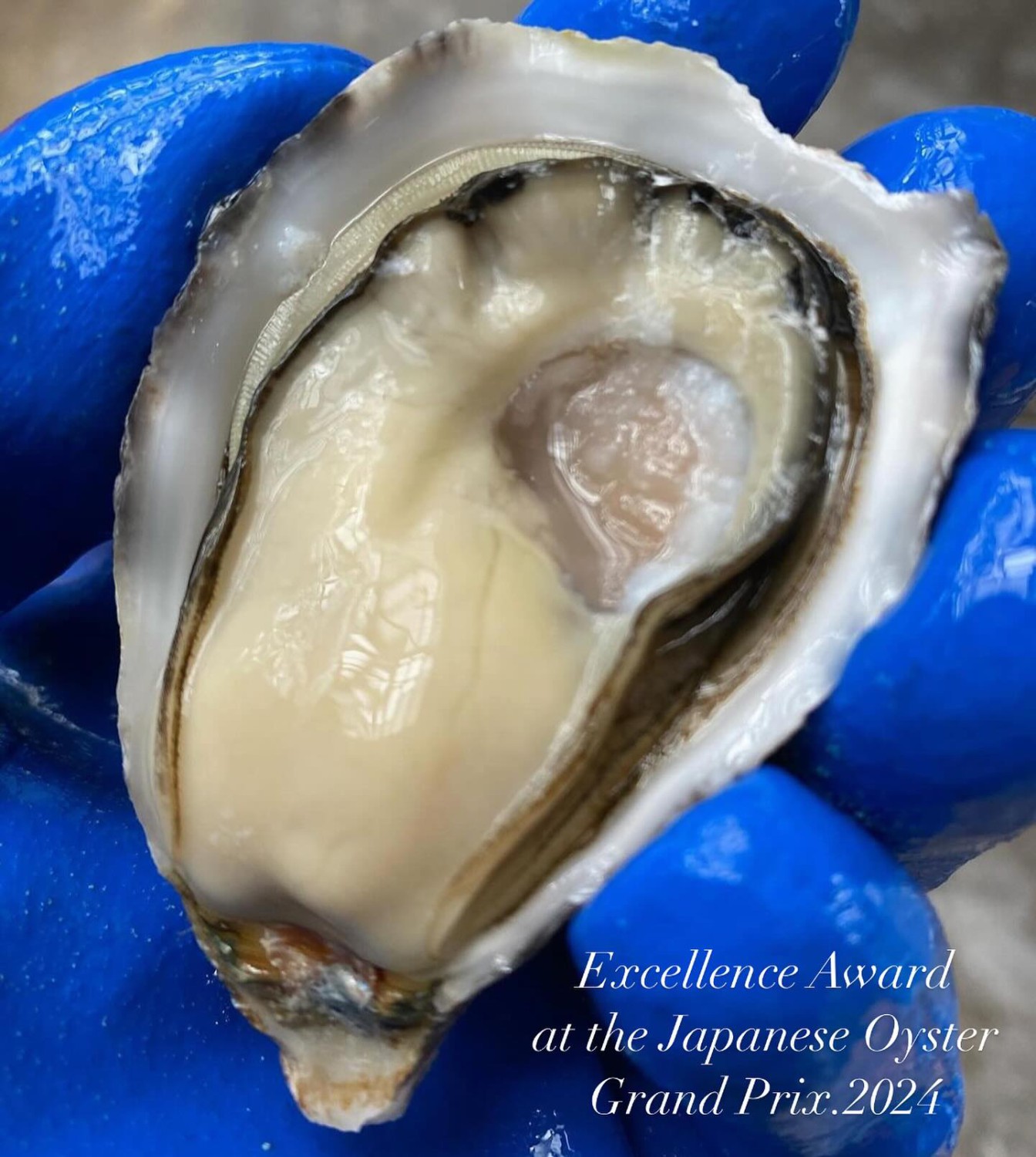oystermania, The Dock, Lobster & Oyster, เล็ก & รัตน์ซีฟู้ด, Oyster Bay Bangkok