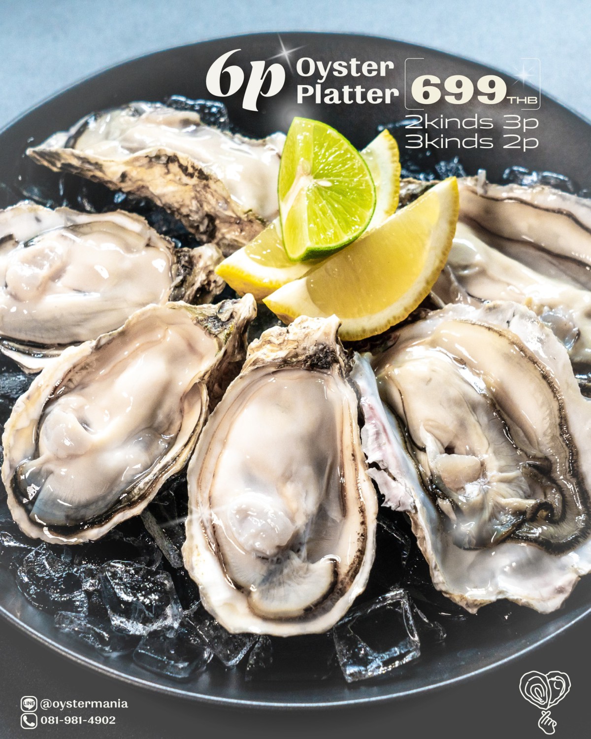 oystermania, The Dock, Lobster & Oyster, เล็ก & รัตน์ซีฟู้ด, Oyster Bay Bangkok