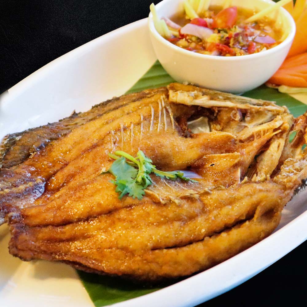 Wisdom International Buffet, BNPCuisine, Yakiniku Tan, Mo-Mo-Paradise, สาขา The Emporium, GuruGyuu, MATSU SUSHI, สาขาขอนแก่น