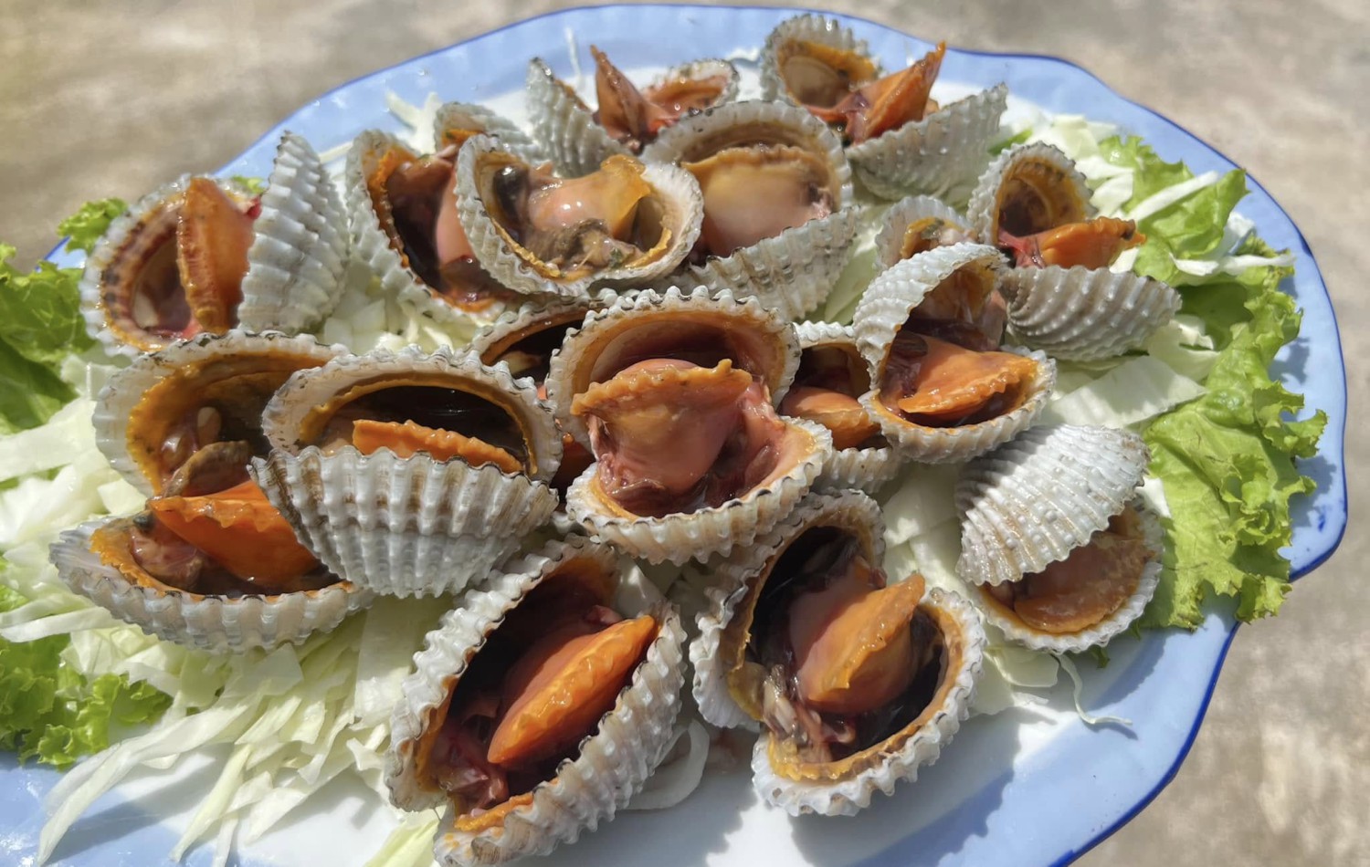 บ้านโพธิ์ริเวอร์ไซด์, ร้านอาหารมธุรสเรือนแพ, Baan Melon Desert, ร้านบ้านเบญฯ, บ้านปูกรรเชียง, ร้านกุ้งนาง, ร้านชวนมา ริมแม่น้ำบางปะกง, ครัวแม่ส้มเกลี้ยง, ครัวปลาเถื่อน, แพเคียงน้ำ, ลุงตีฟและยาย, รวยเรือนแพ, เอกเขนก, ชัยครับ, แพพยงค์ ริมน้ำ, 111/11 บ้านริมคลอง, มีน้ำ มีปลา cafe&amp;restaurant
