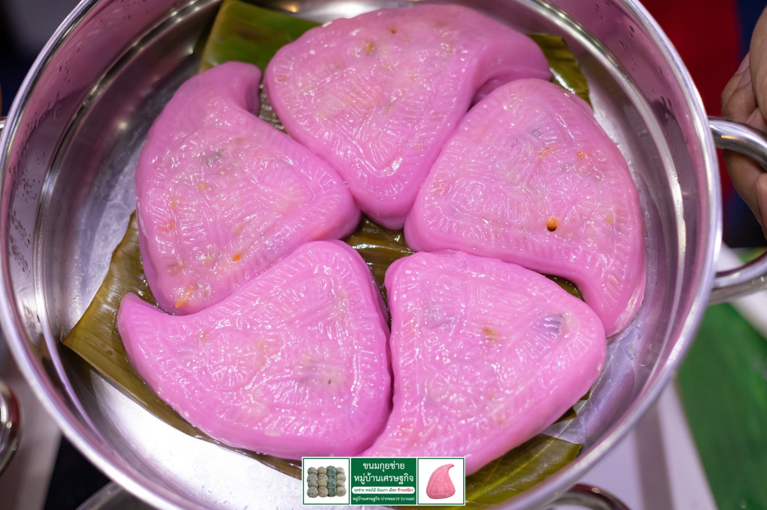 ขนมกุยช่าย หมู่บ้านเศรษฐกิจ, เล่าซา (ลิ้มเล่าซา) เซ็นต์หลุยส์, หม่าล่าชาวเขา Malashaokao, 1:2 Coffee Company, หิว หิว Hiew Hiew, หมูทอดเซ็นต์หลุยส์, กิตติก๋วยเตี๋ยวเป็ด