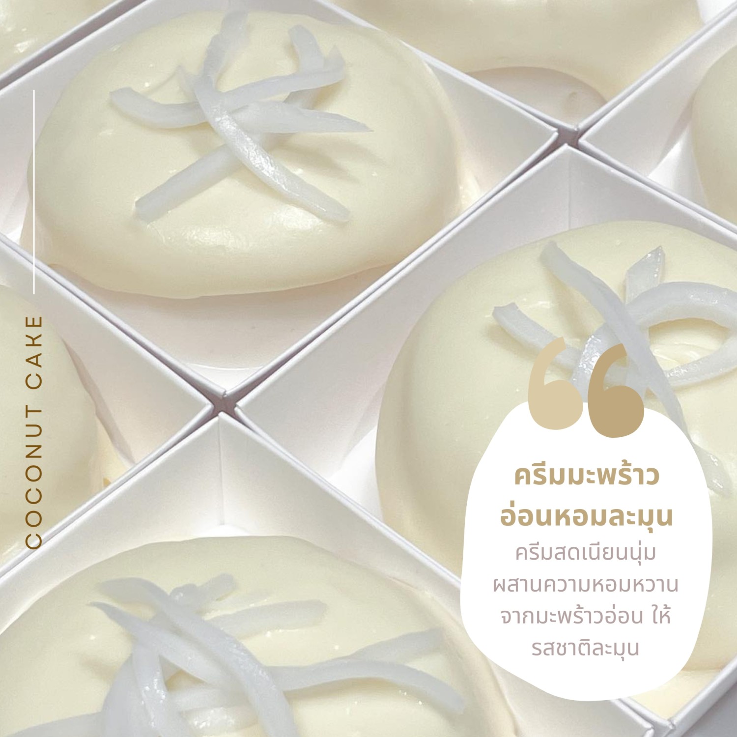 Morestto, KLĀY cafe, Hang &amp; Craft, Groon, CHEEVIT CHEEVA, GRAPH one nimman, เก้าคาเฟ่ นิมมาน