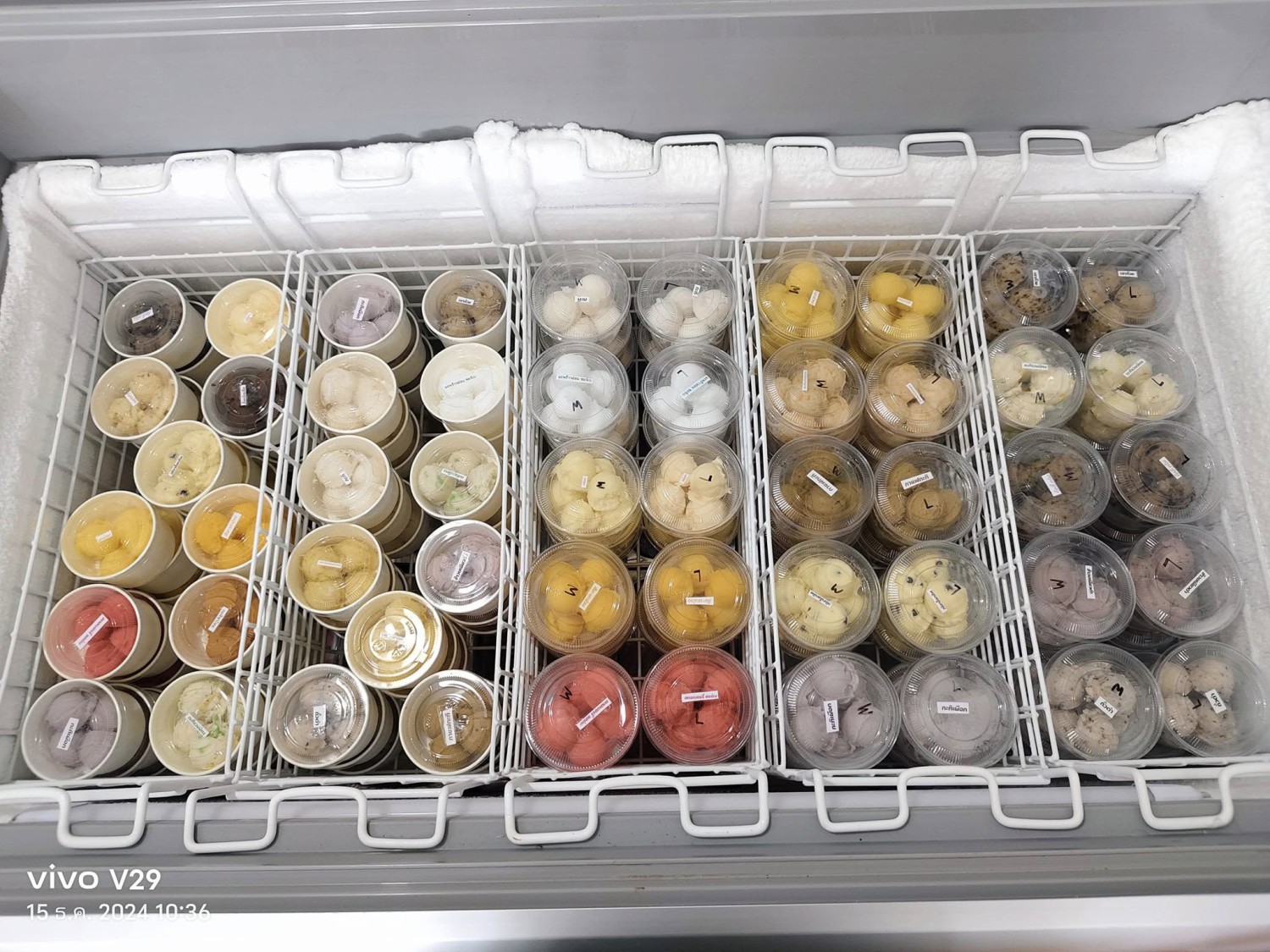 มหาชัยไอศกรีม, พัชชาไอศครีมกะทิ, หวานลิ้นไอติมทรงเครื่อง, M'scream, ฟู่ฟู่ ไอติมกะทิ, ไผ่ทองไอสครีม, ไอศกรีมทิพย์รส