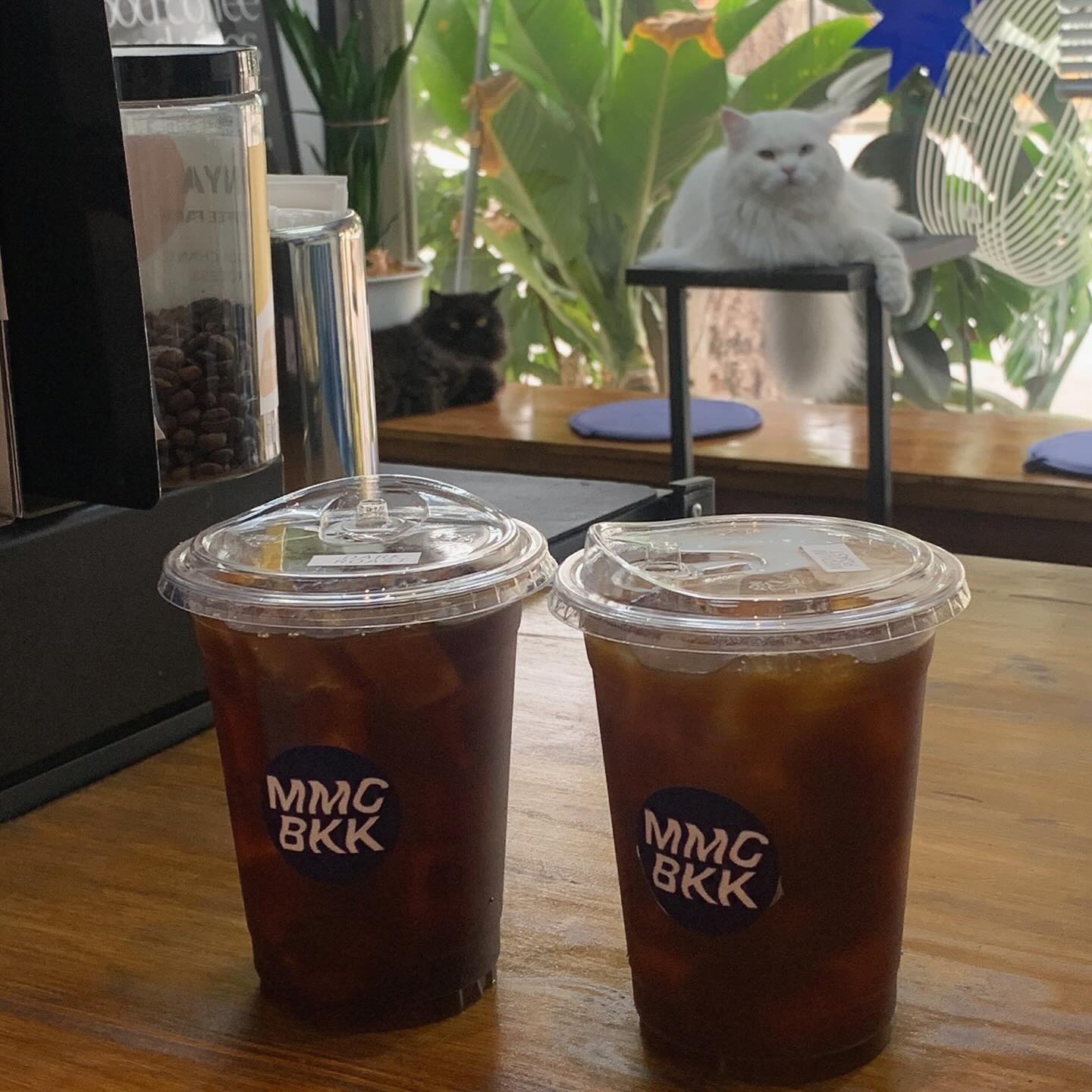 NANA Coffee Roasters, Mmc.bkk, FO SHO BRO, Dear December Cafe, The 66 Cottage, The Black Forest, Bougain Cafe & Crafts, La Mesa Coffee Co., Coffee Station, Gooseberry Coffee Bearing-Lasalle, OOOz.cafe , Shalala Cafe