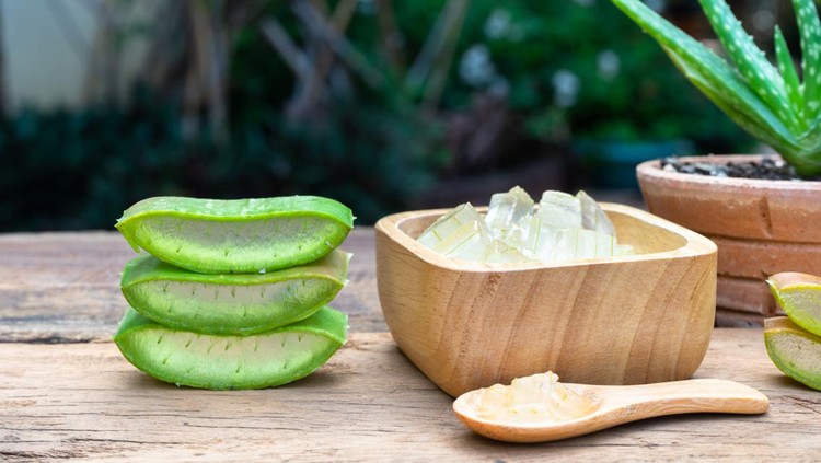 Fresh aloe vera plant, slices and gel on wooden background, skin therapy concept, copy space, 1. Menenangkan kulit dengan minyak kelapa murni, 2. Pembersih wajah madu dan lemon, 3. Eksfoliasi dengan oatmeal, 4. Aloe vera untuk menjaga kulit tetap kuat dan sehat, 5. Mengurangi ‘mata panda’ dengan mentimun dan aloe vera