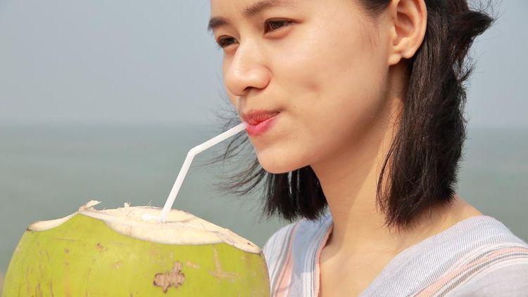 Ilustrasi Kelapa Hijau